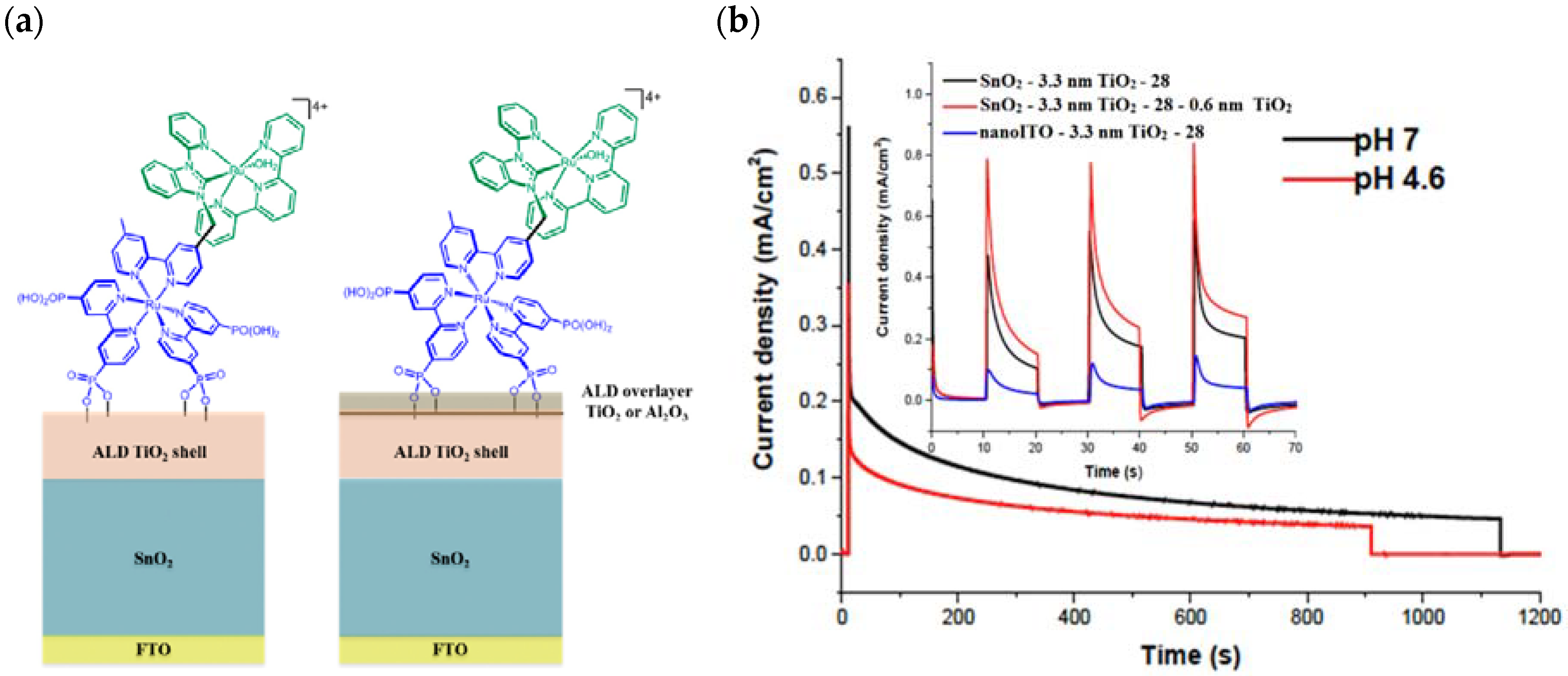 Molecules 29 00293 g018