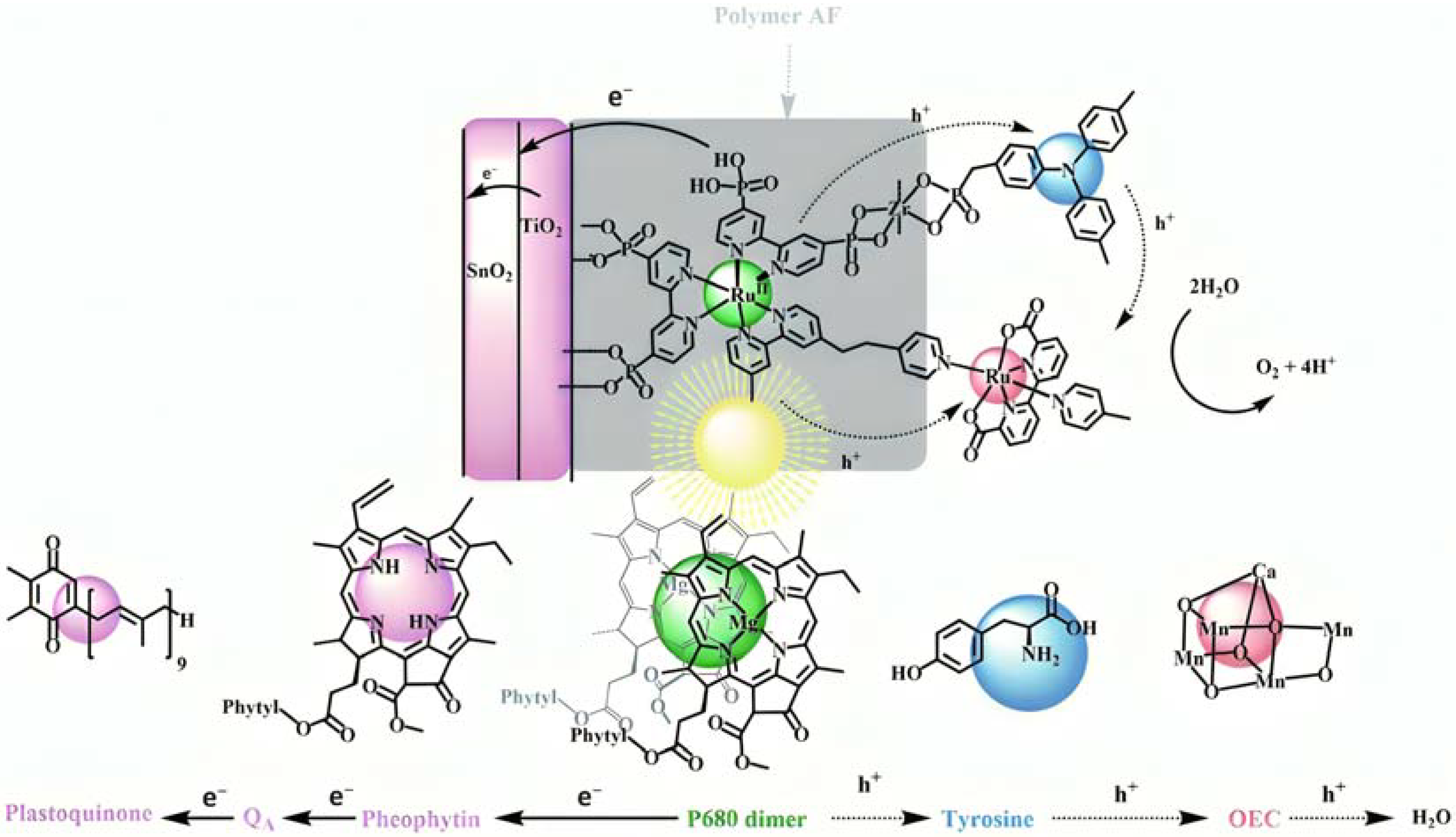 Molecules 29 00293 g020