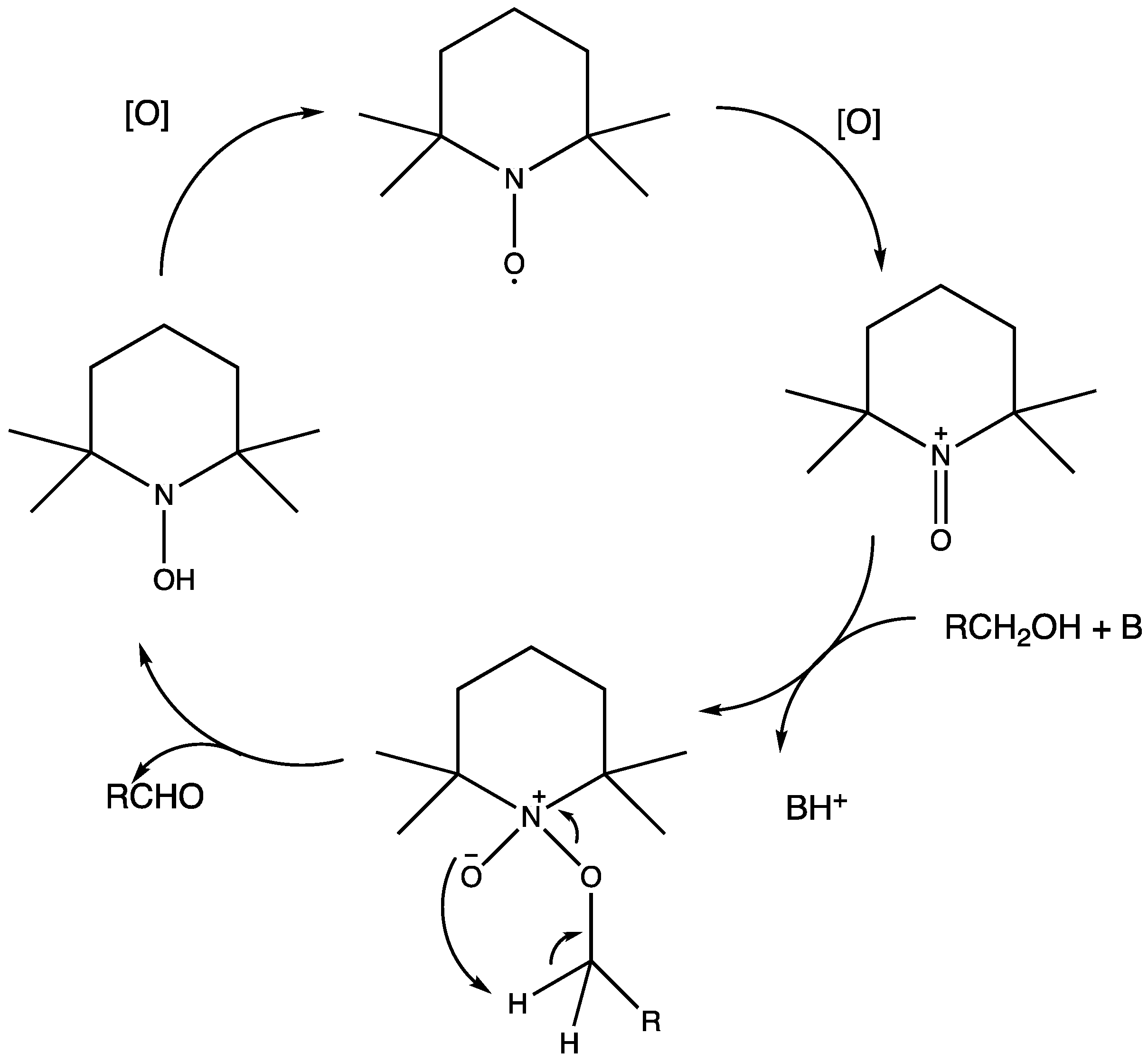 Molecules 29 00293 g028