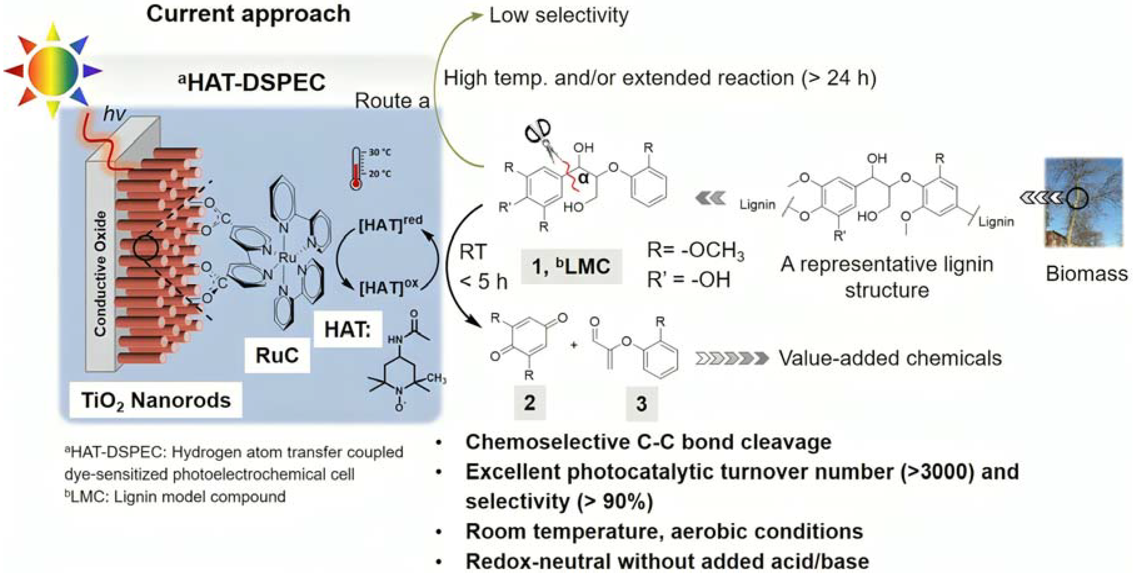 Molecules 29 00293 g032