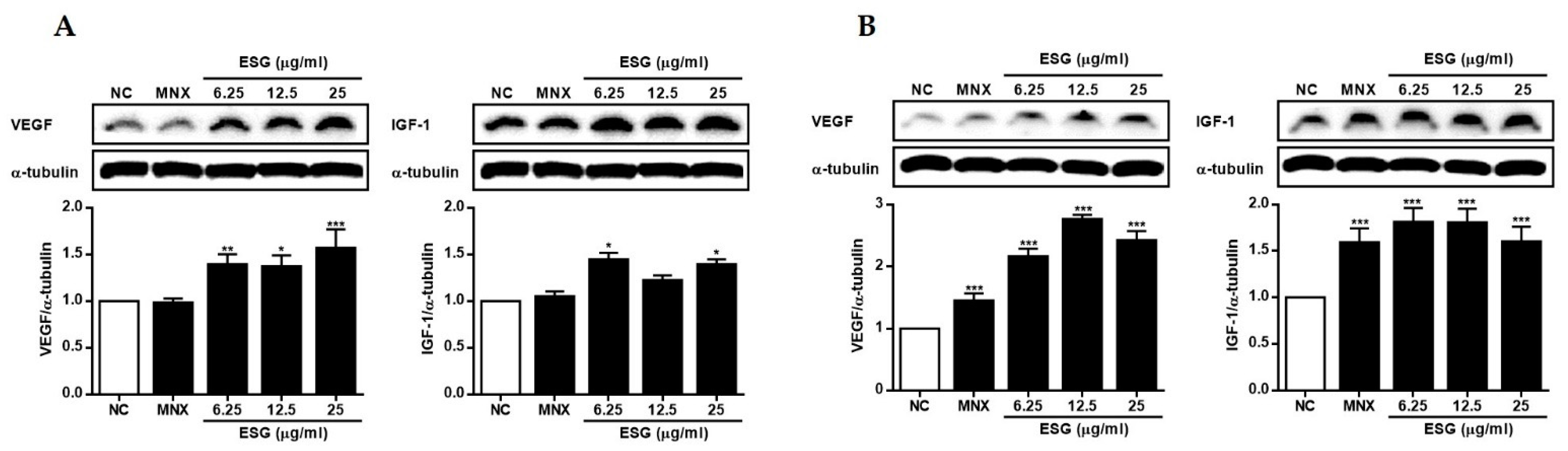 Molecules 29 00298 g004