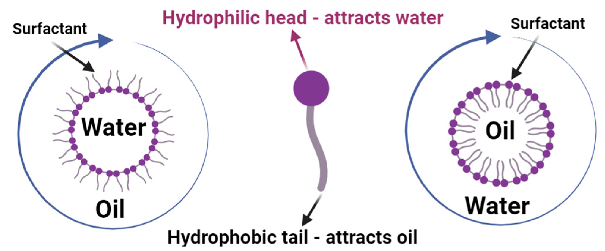 Molecules 29 00301 g002