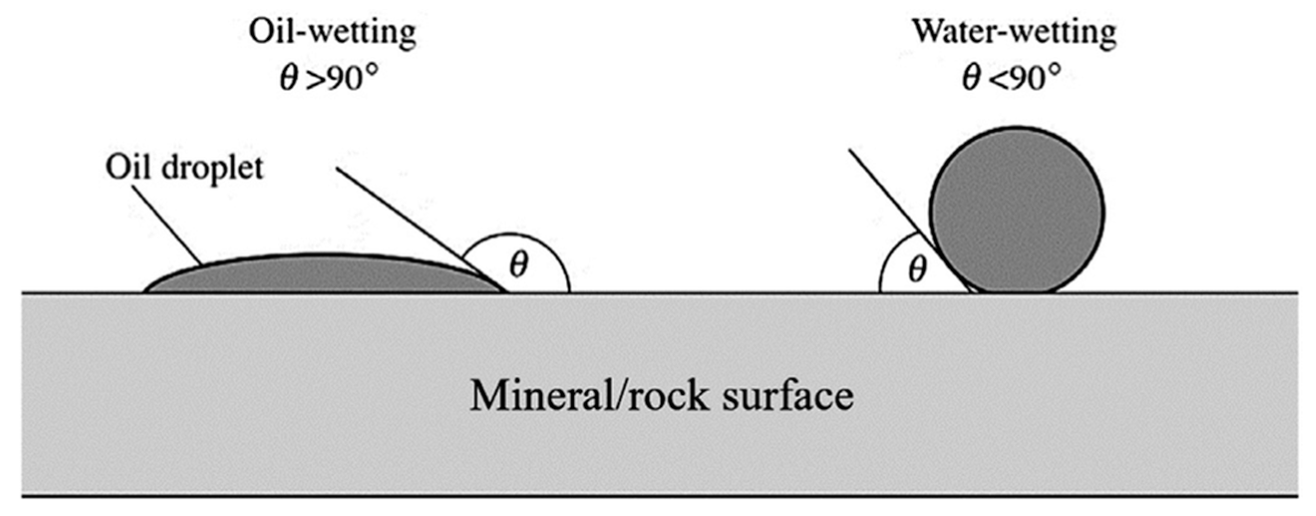 Molecules 29 00301 g005
