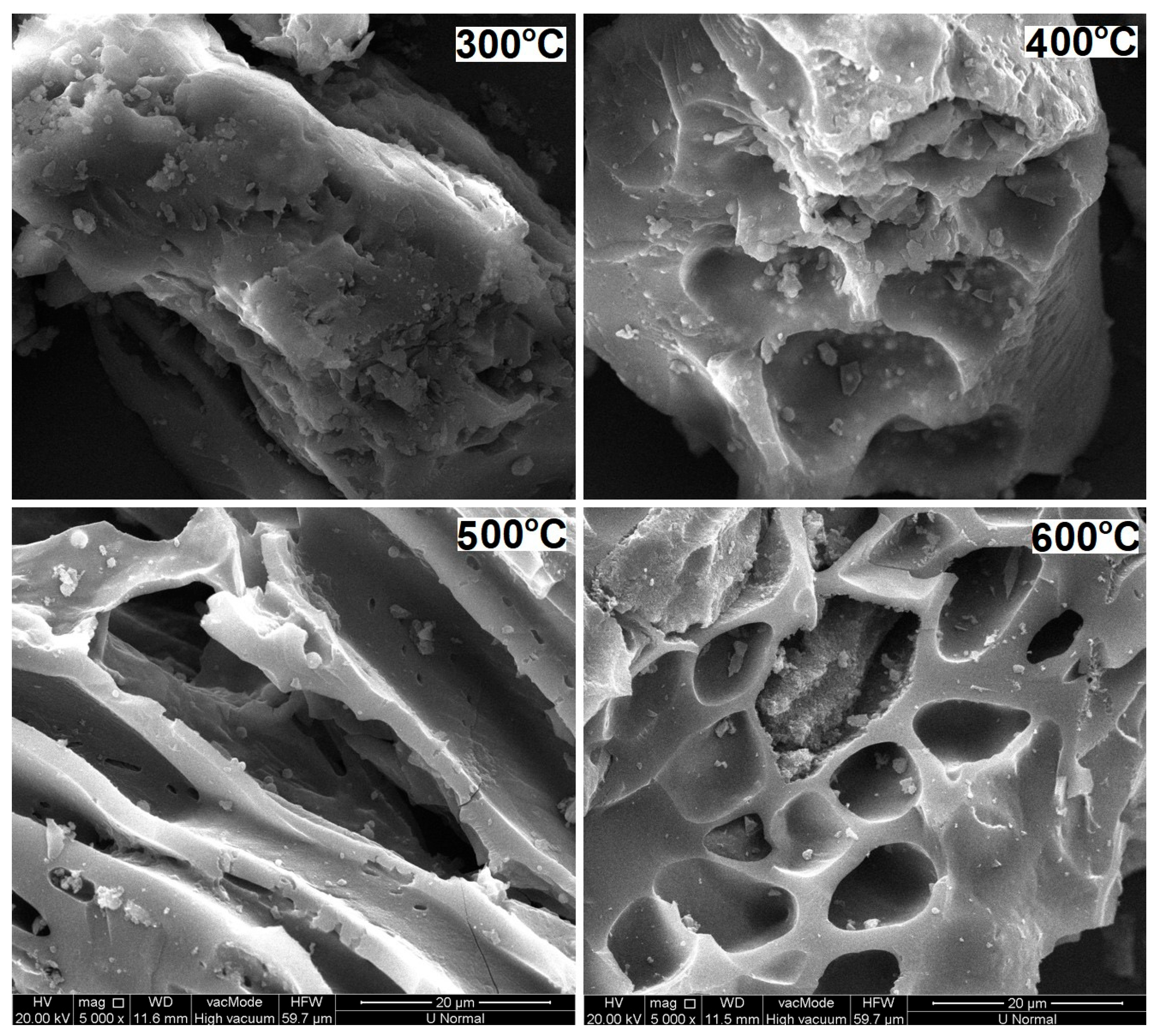 Fractionation and Lability of Phosphorus Species in Cottonseed 