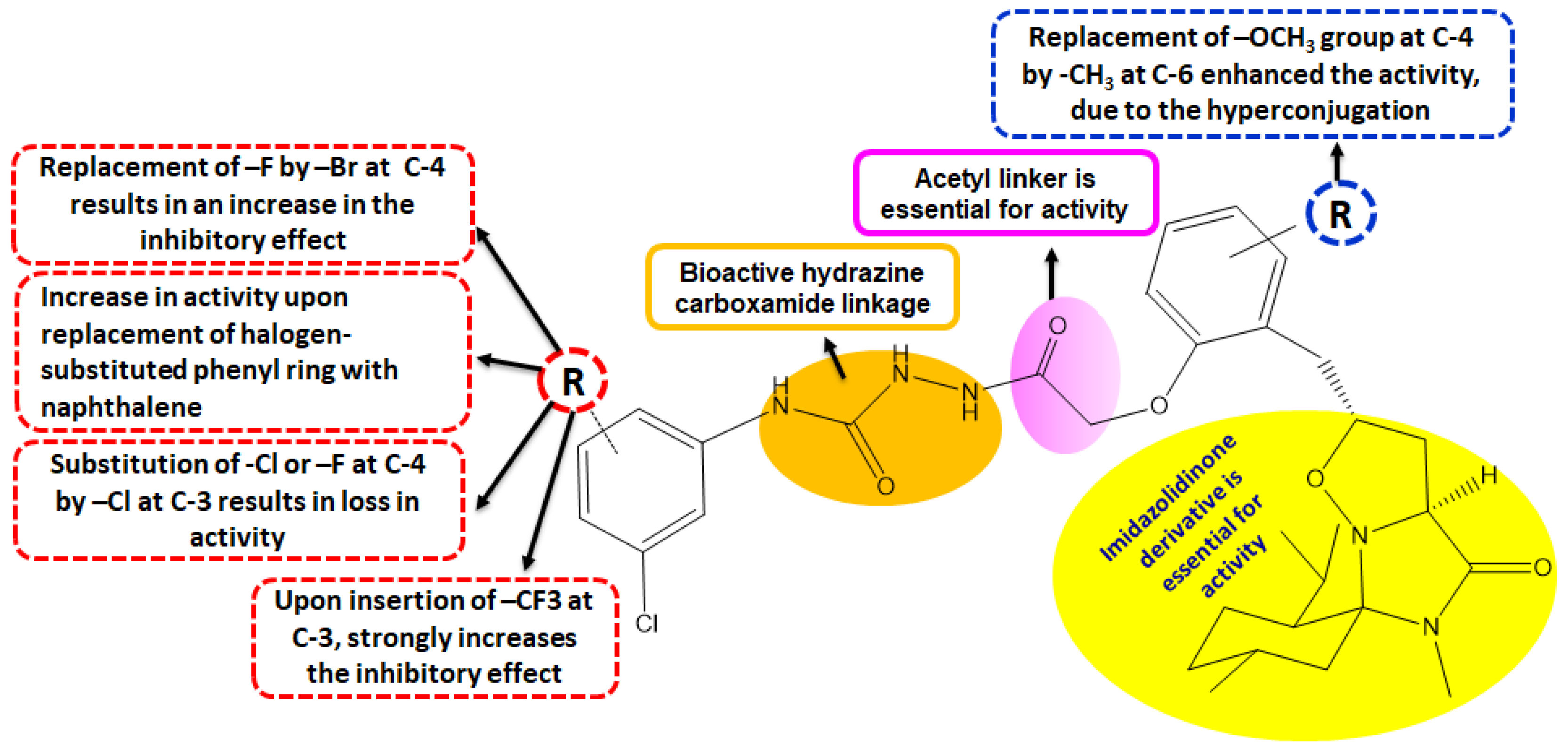 Molecules 29 00305 g004