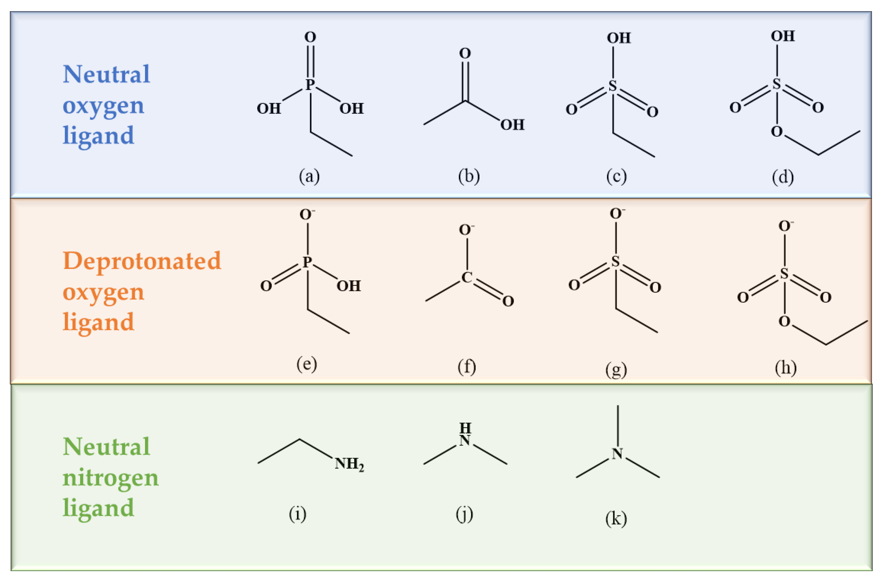Molecules 29 00308 g001