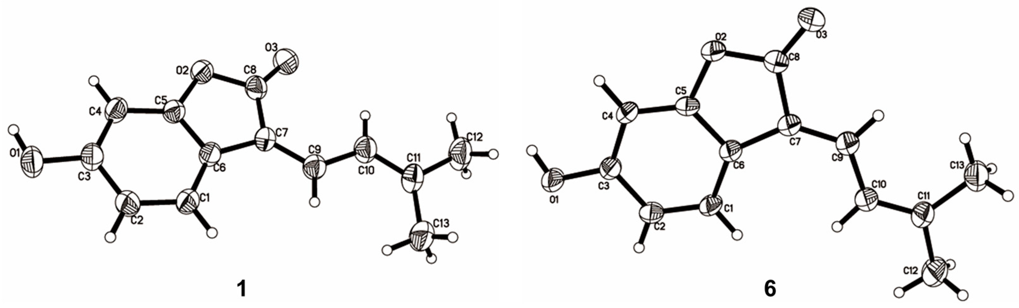 Molecules 29 00315 g003