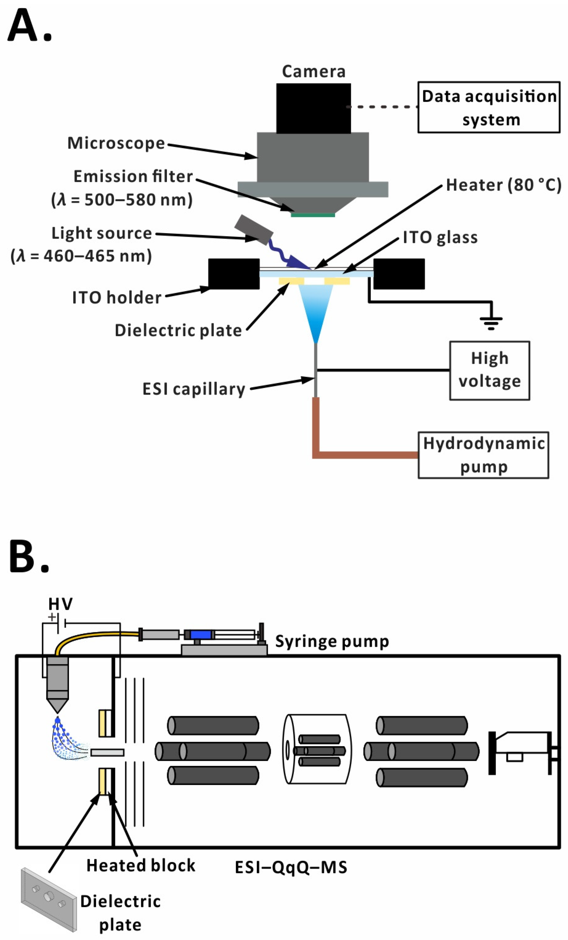 Molecules 29 00316 g001