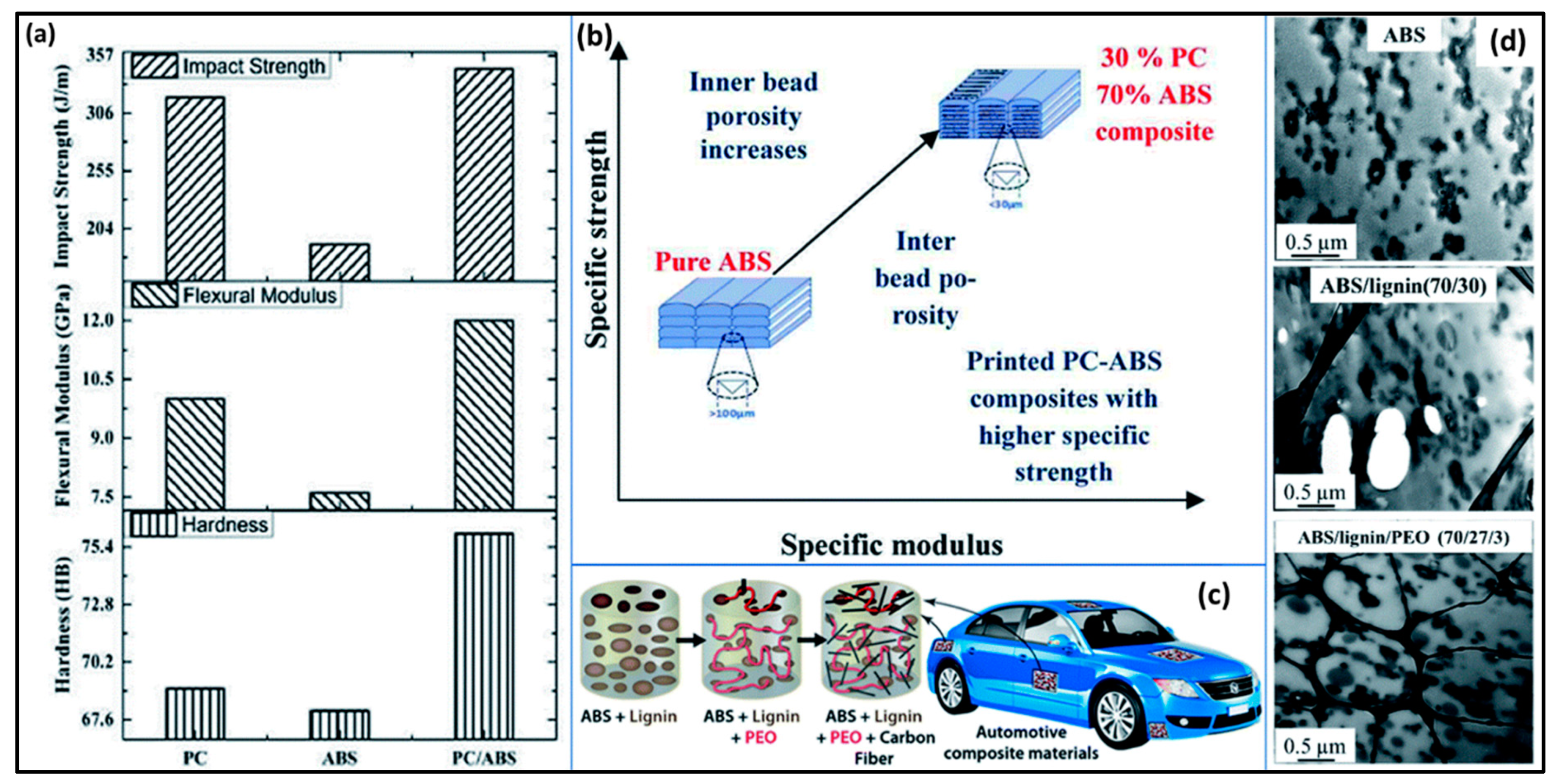 Molecules 29 00319 g006