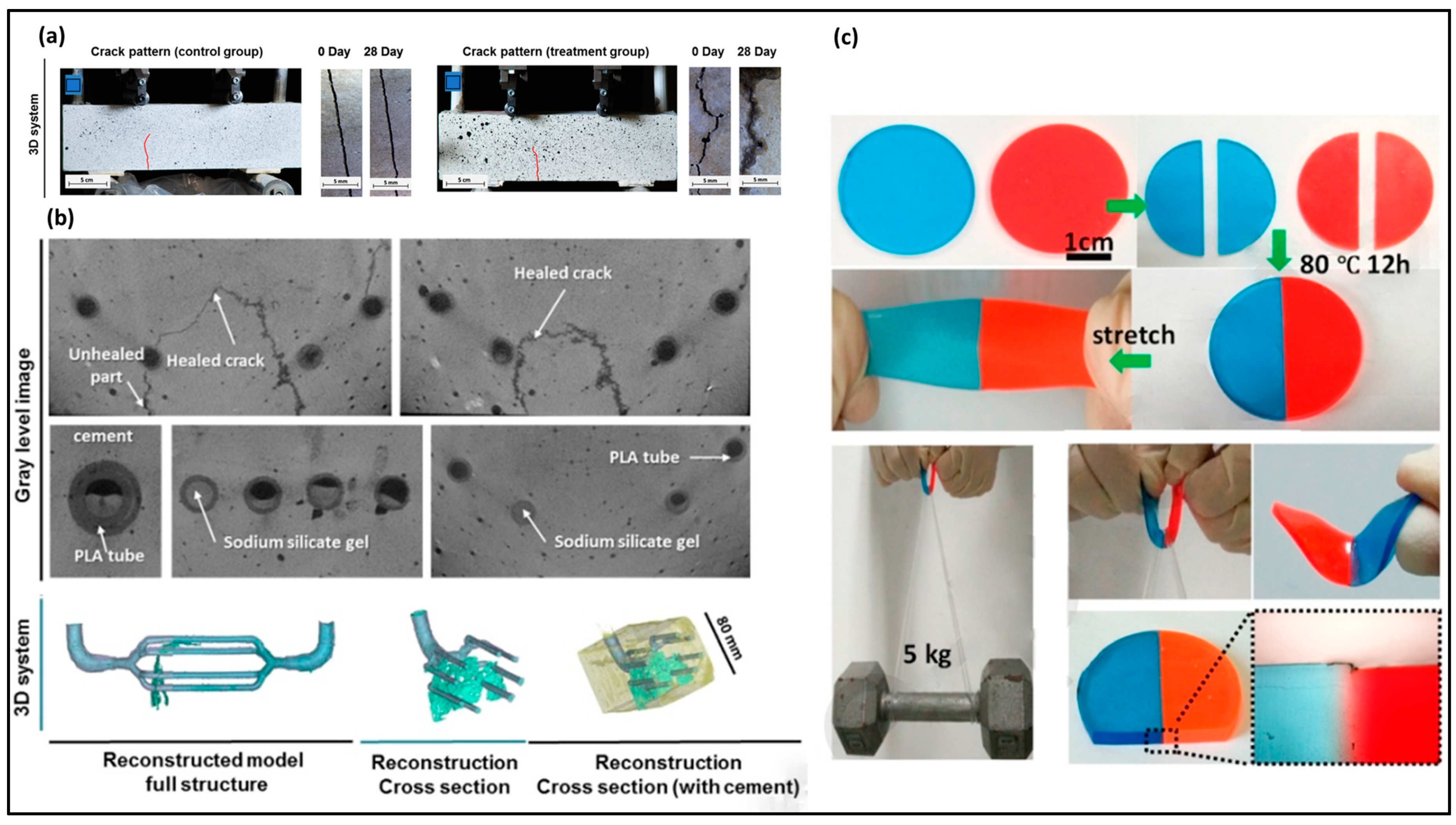 Molecules 29 00319 g011