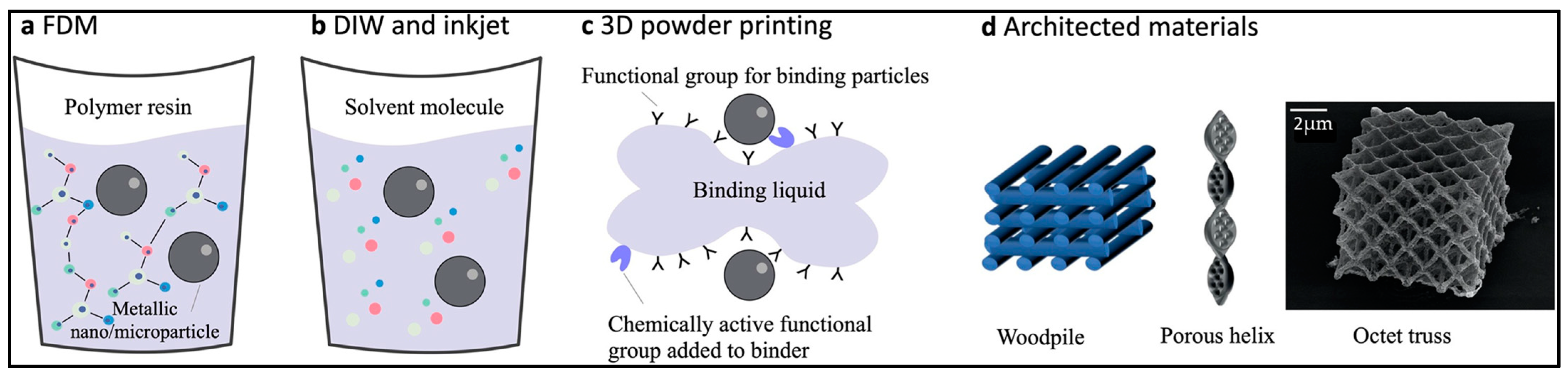 Molecules 29 00319 g012