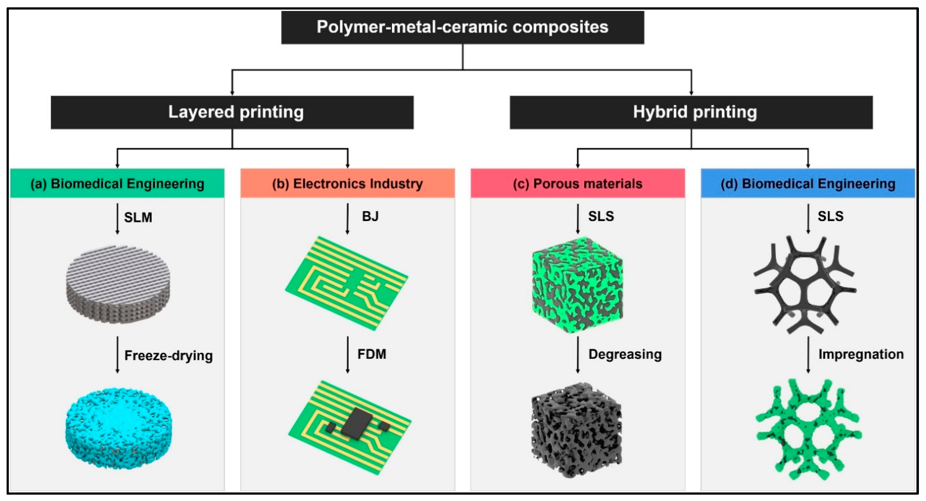 Molecules 29 00319 g017