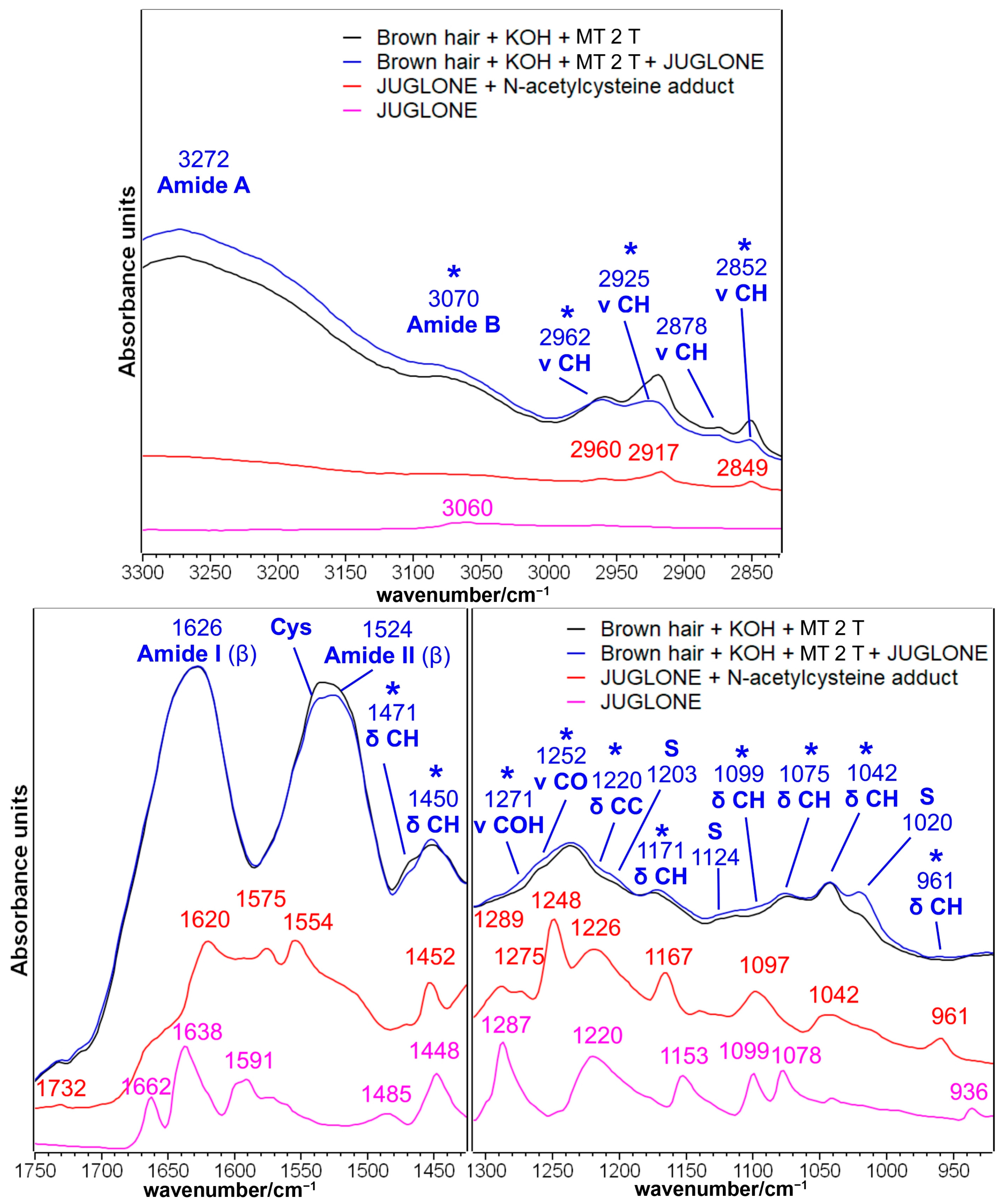 Molecules 29 00320 g004