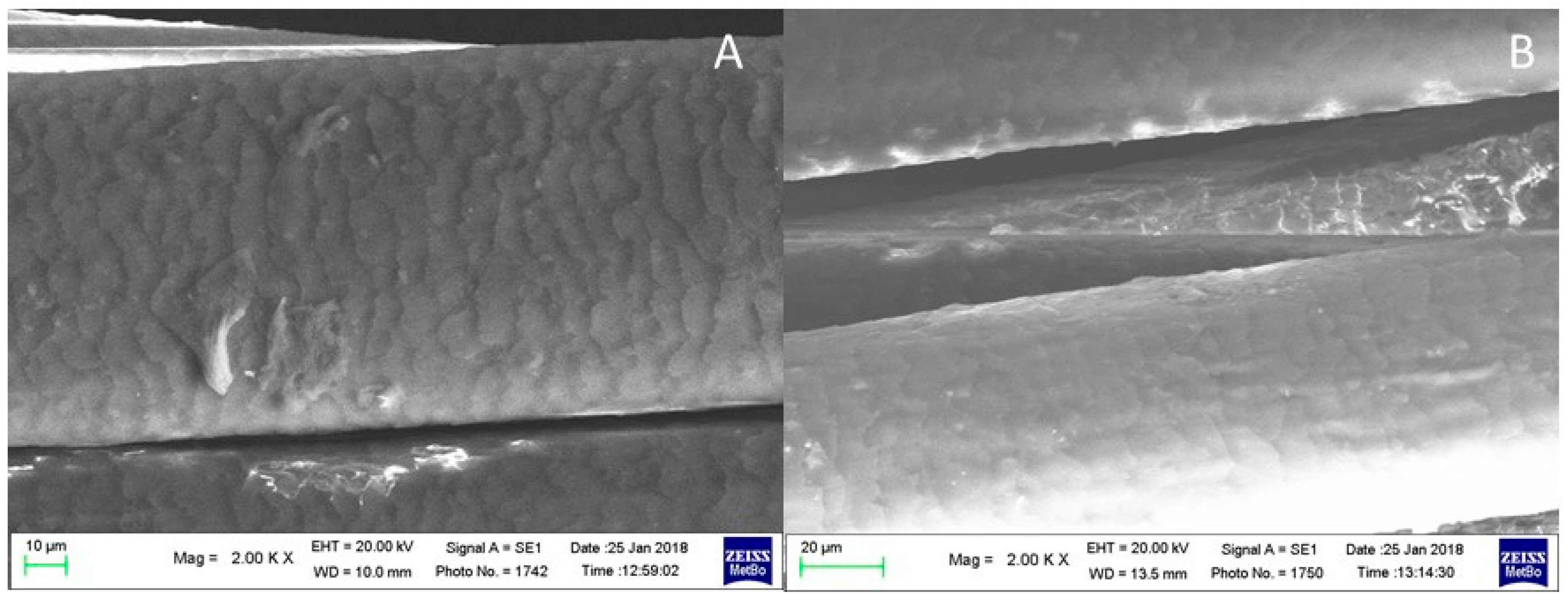 Molecules 29 00320 g011