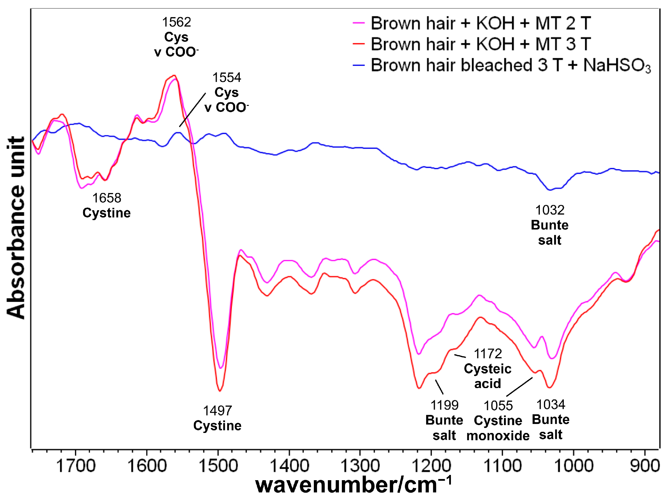 Molecules 29 00320 g012