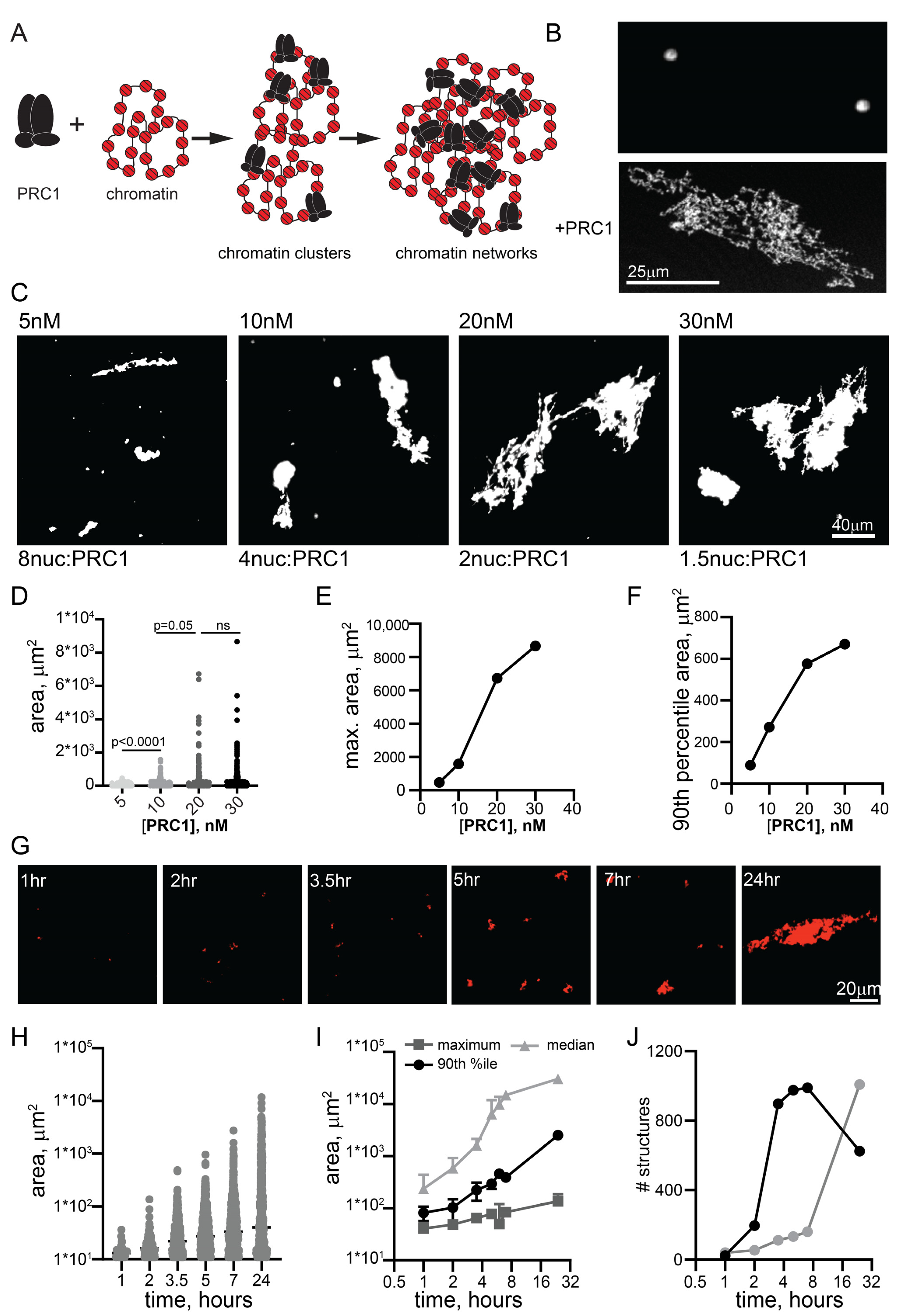 Molecules 29 00323 g001 Molecules 29 00323 g001