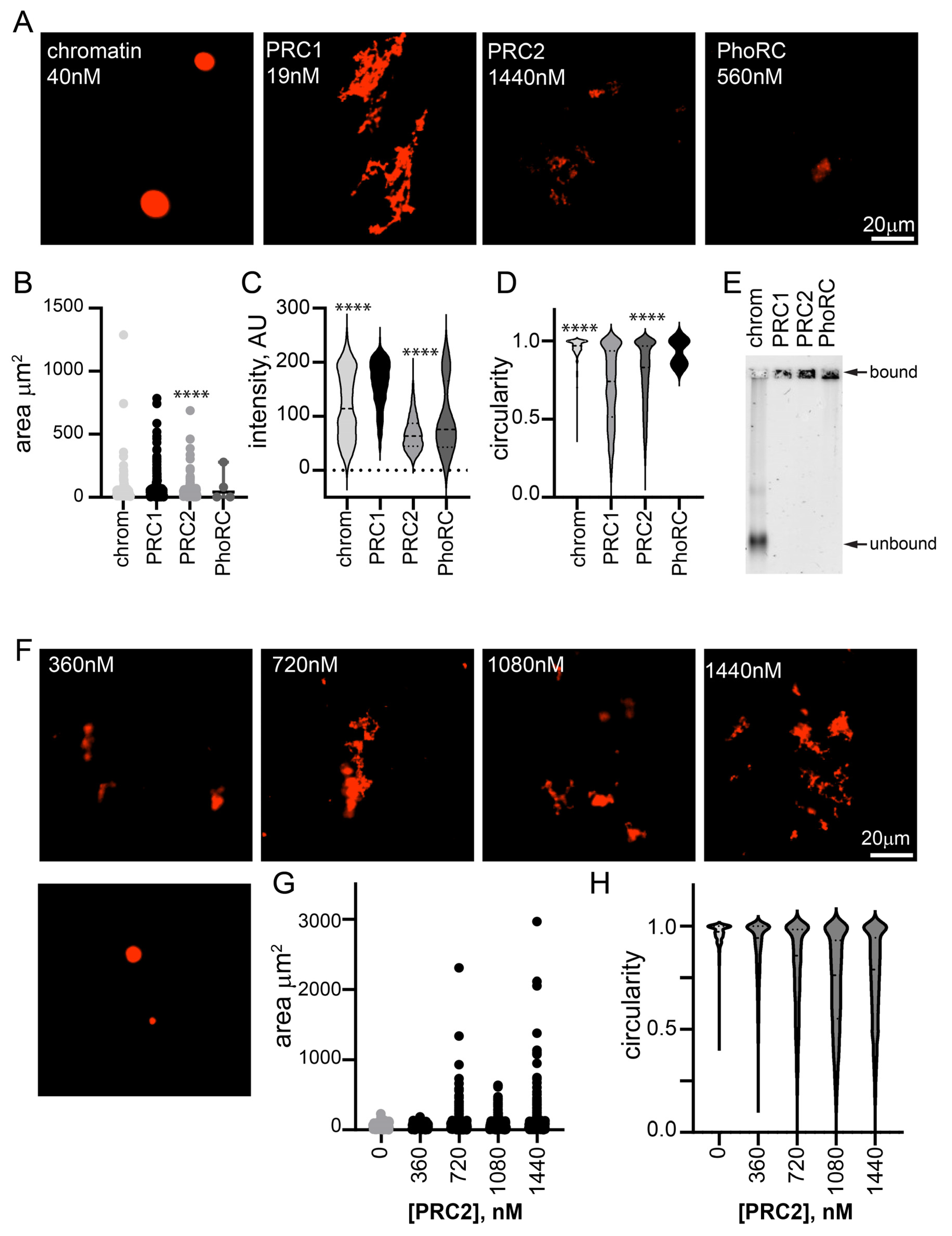 Molecules 29 00323 g002 Molecules 29 00323 g002