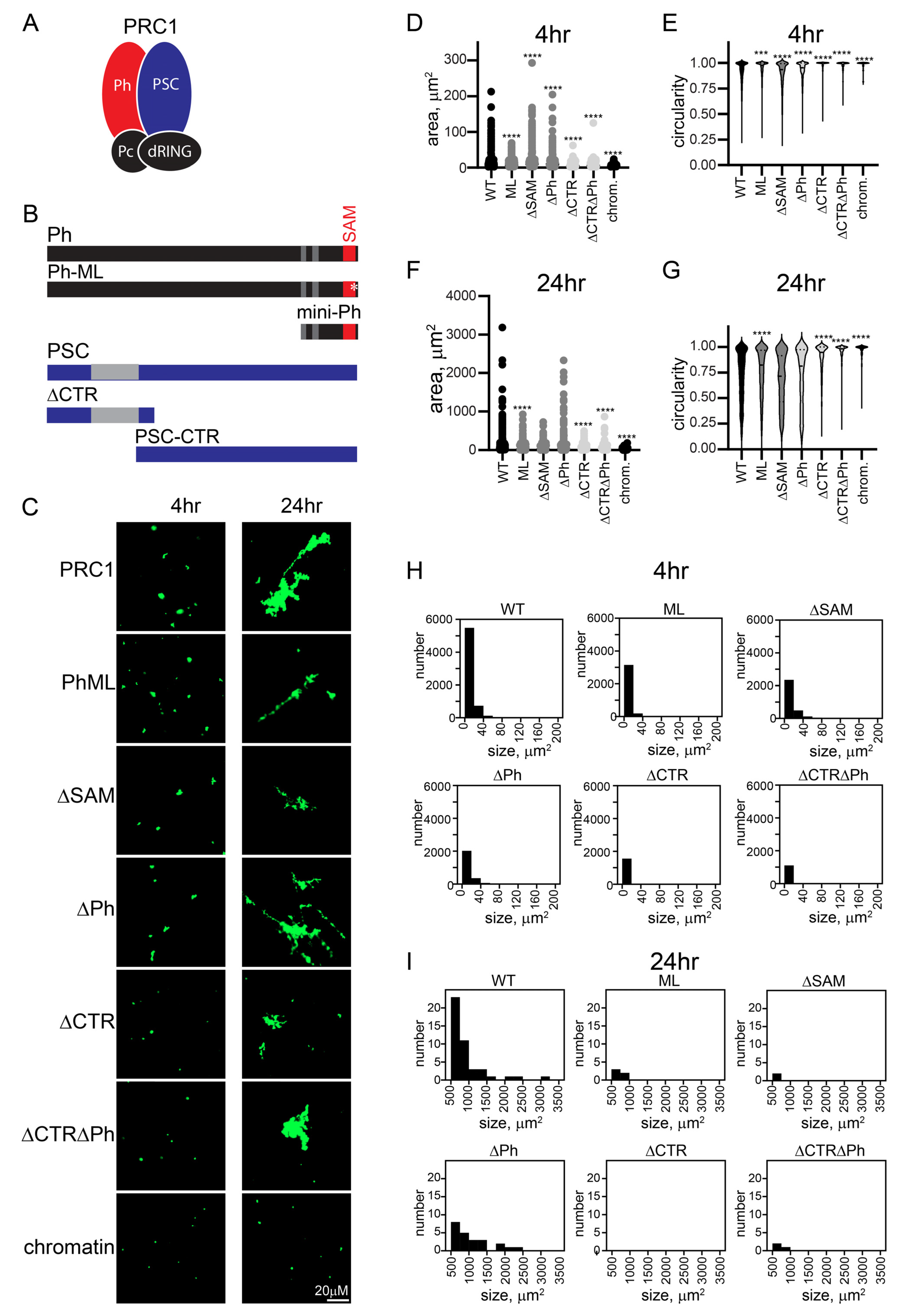 Molecules 29 00323 g003 Molecules 29 00323 g003