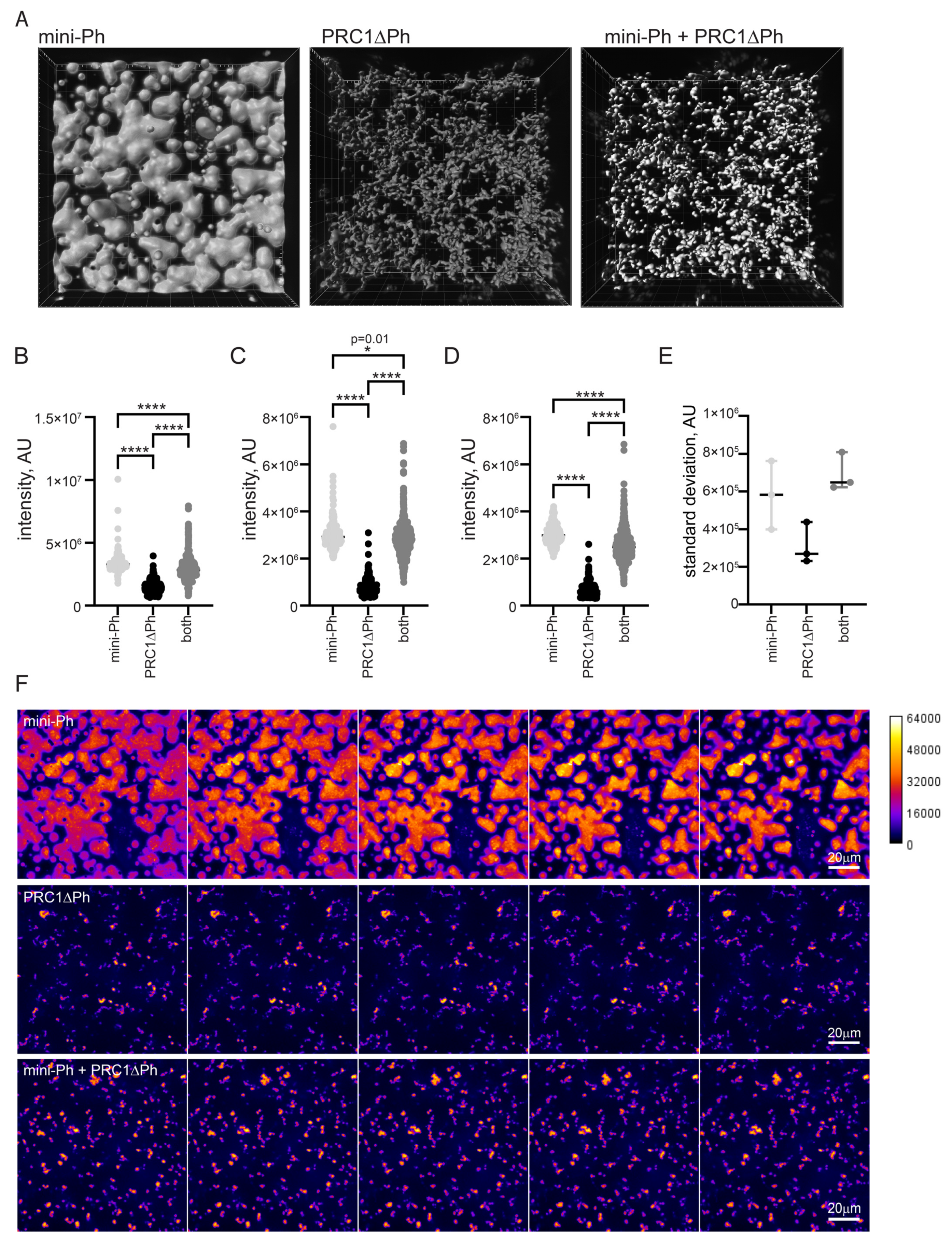 Molecules 29 00323 g006 Molecules 29 00323 g006