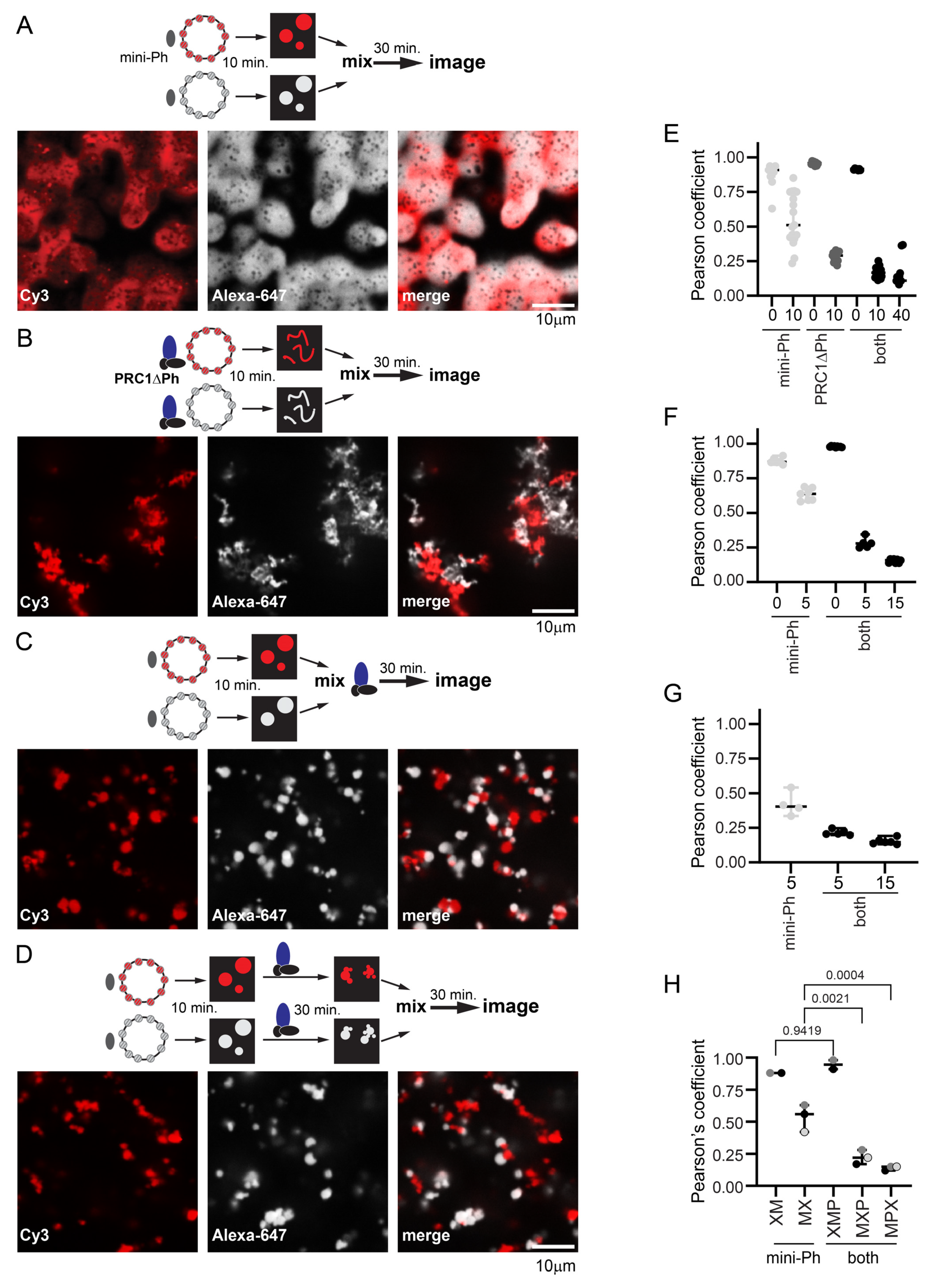 Molecules 29 00323 g007 Molecules 29 00323 g007