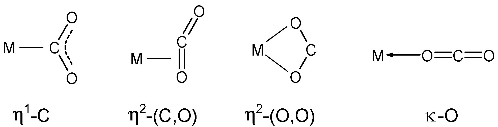 Molecules 29 00324 g001
