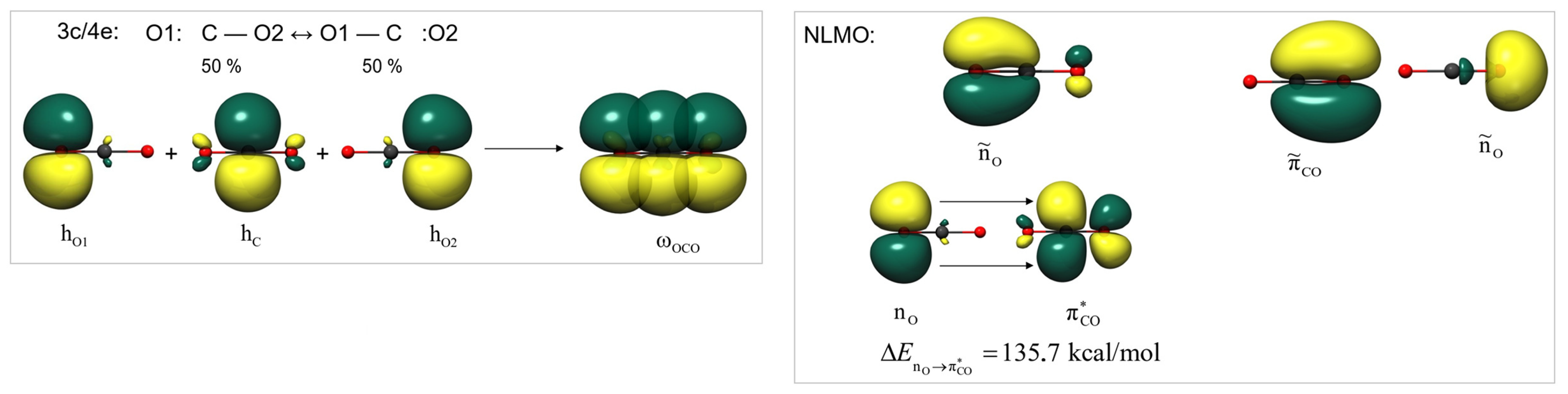 Molecules 29 00324 g004