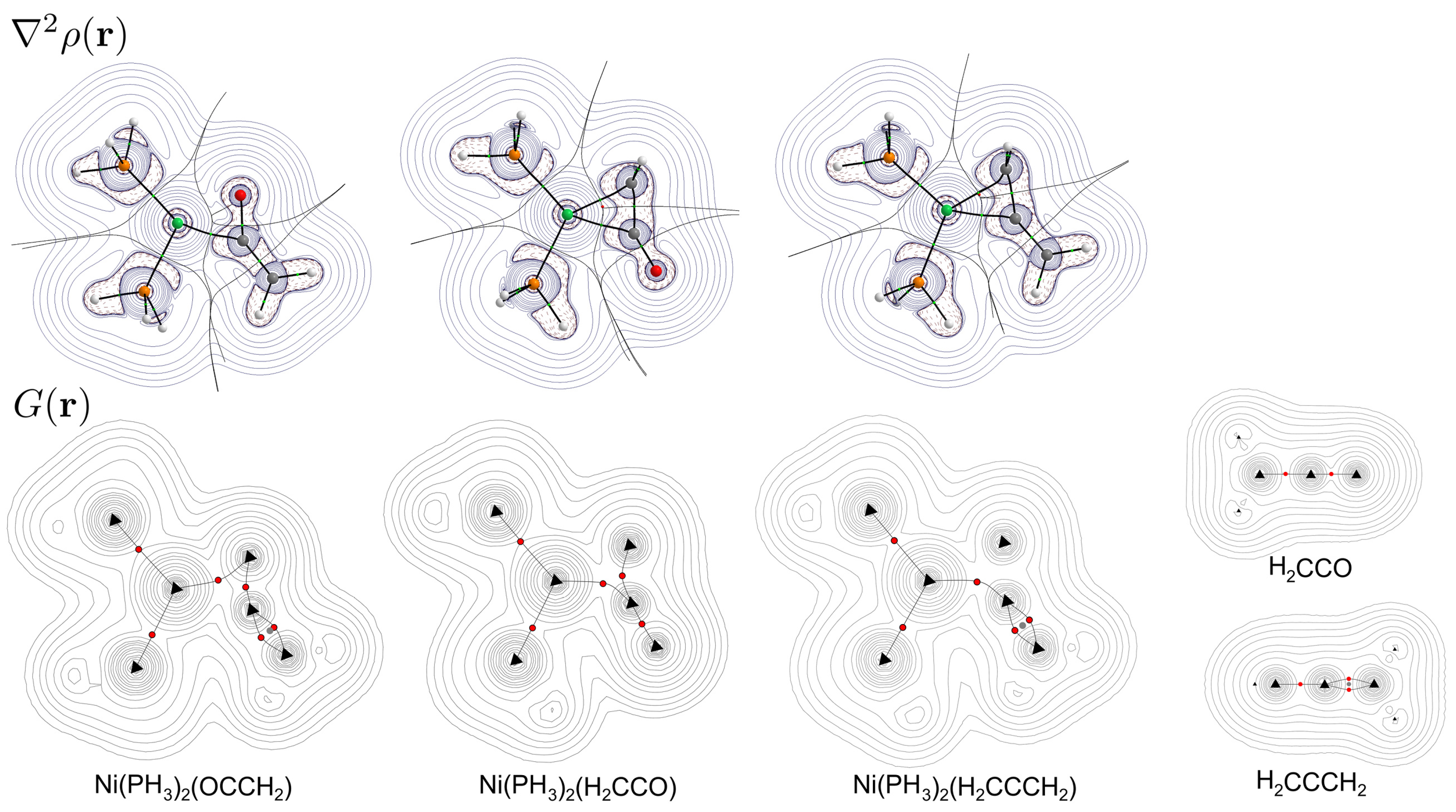 Molecules 29 00324 g007
