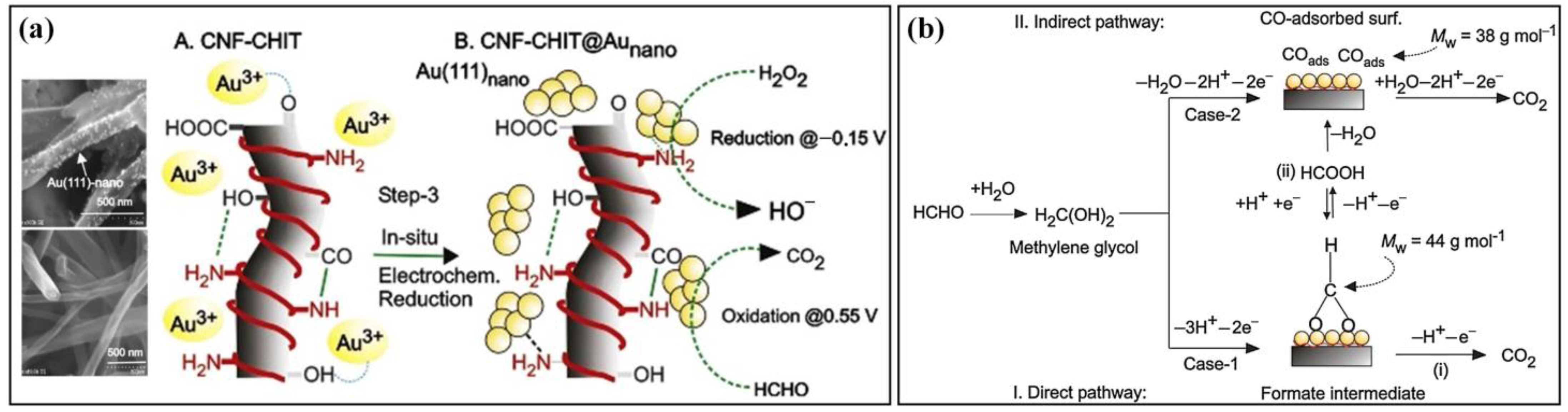 Molecules 29 00327 g007