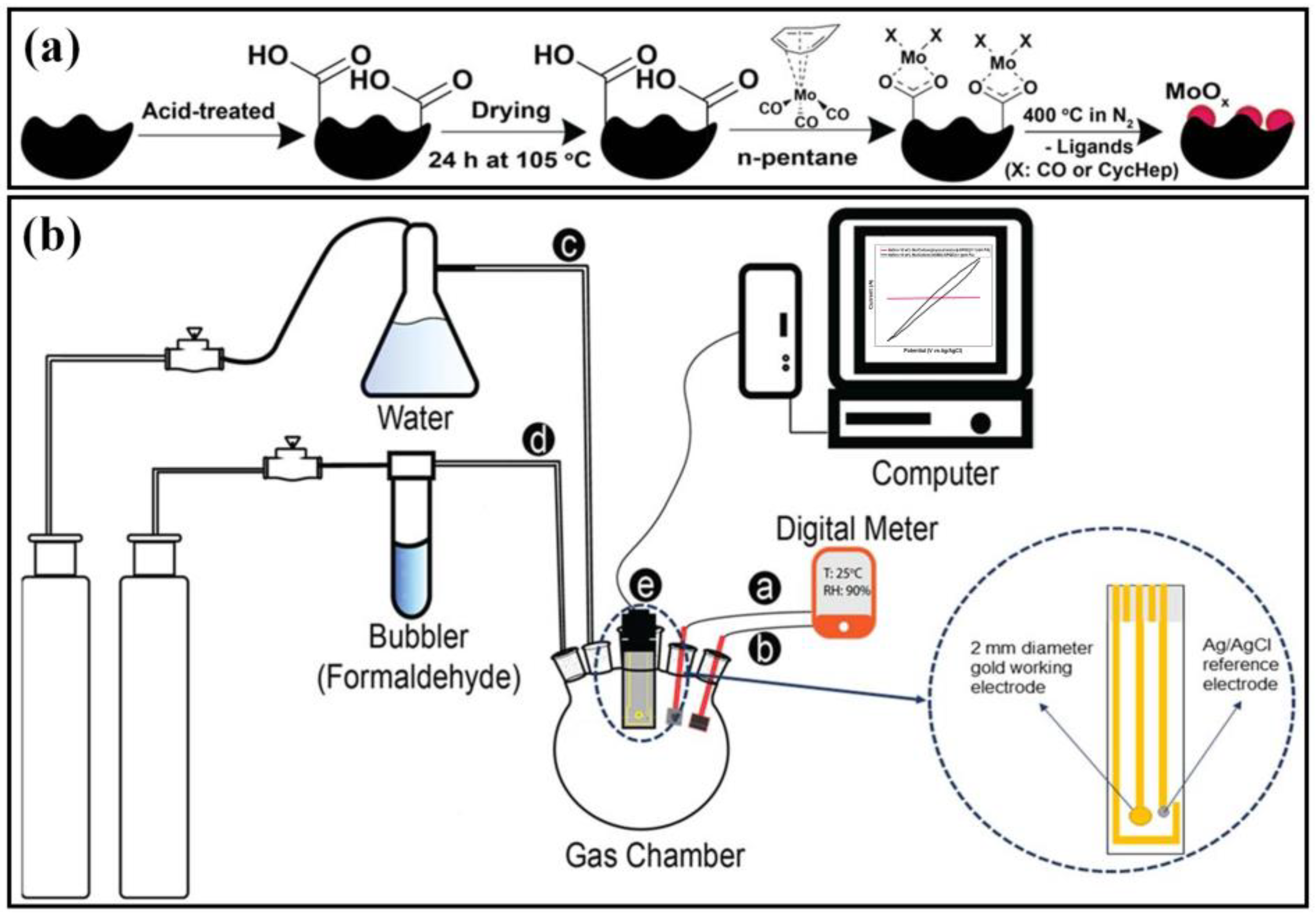 Molecules 29 00327 g011