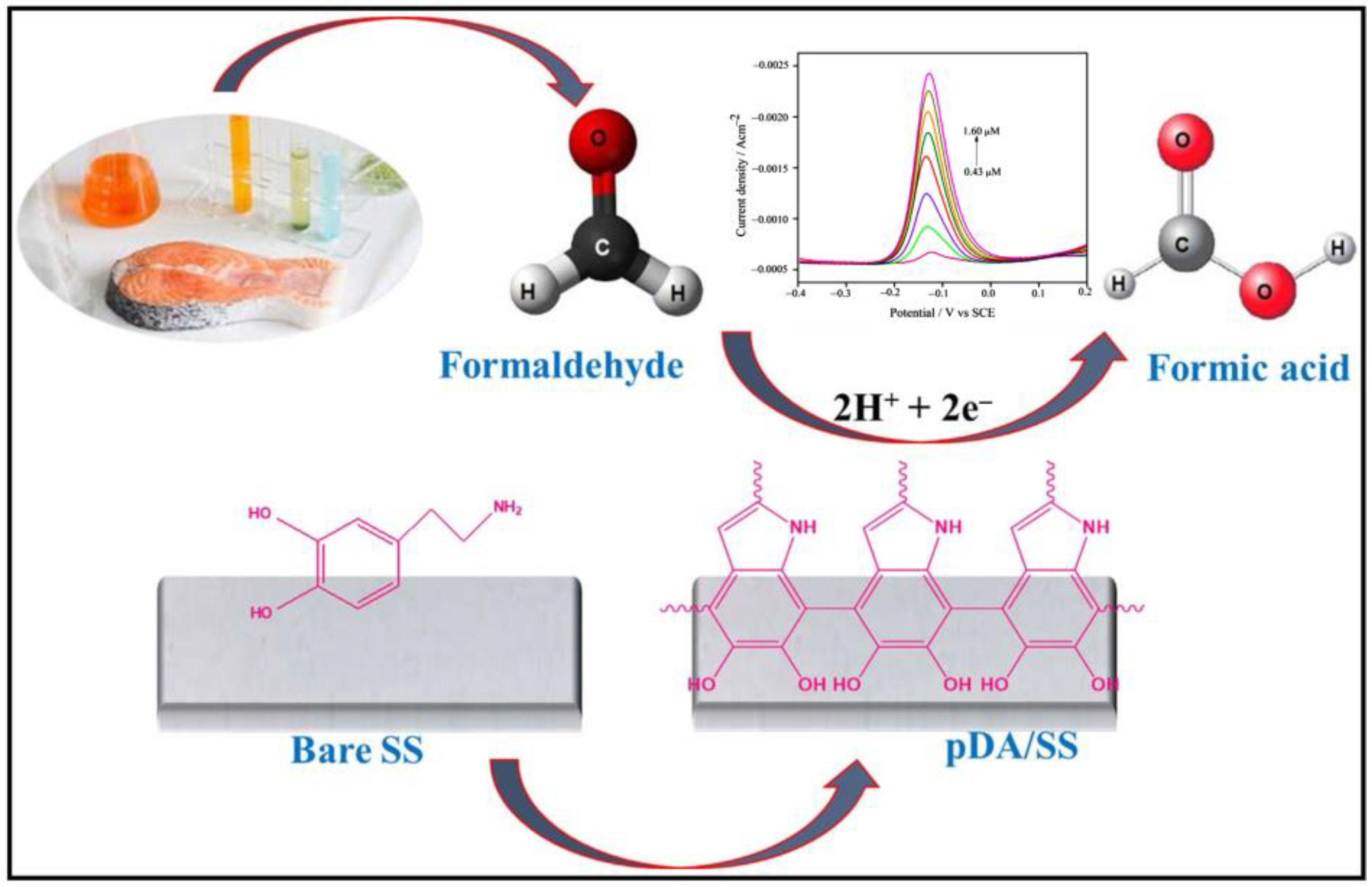 Molecules 29 00327 g012