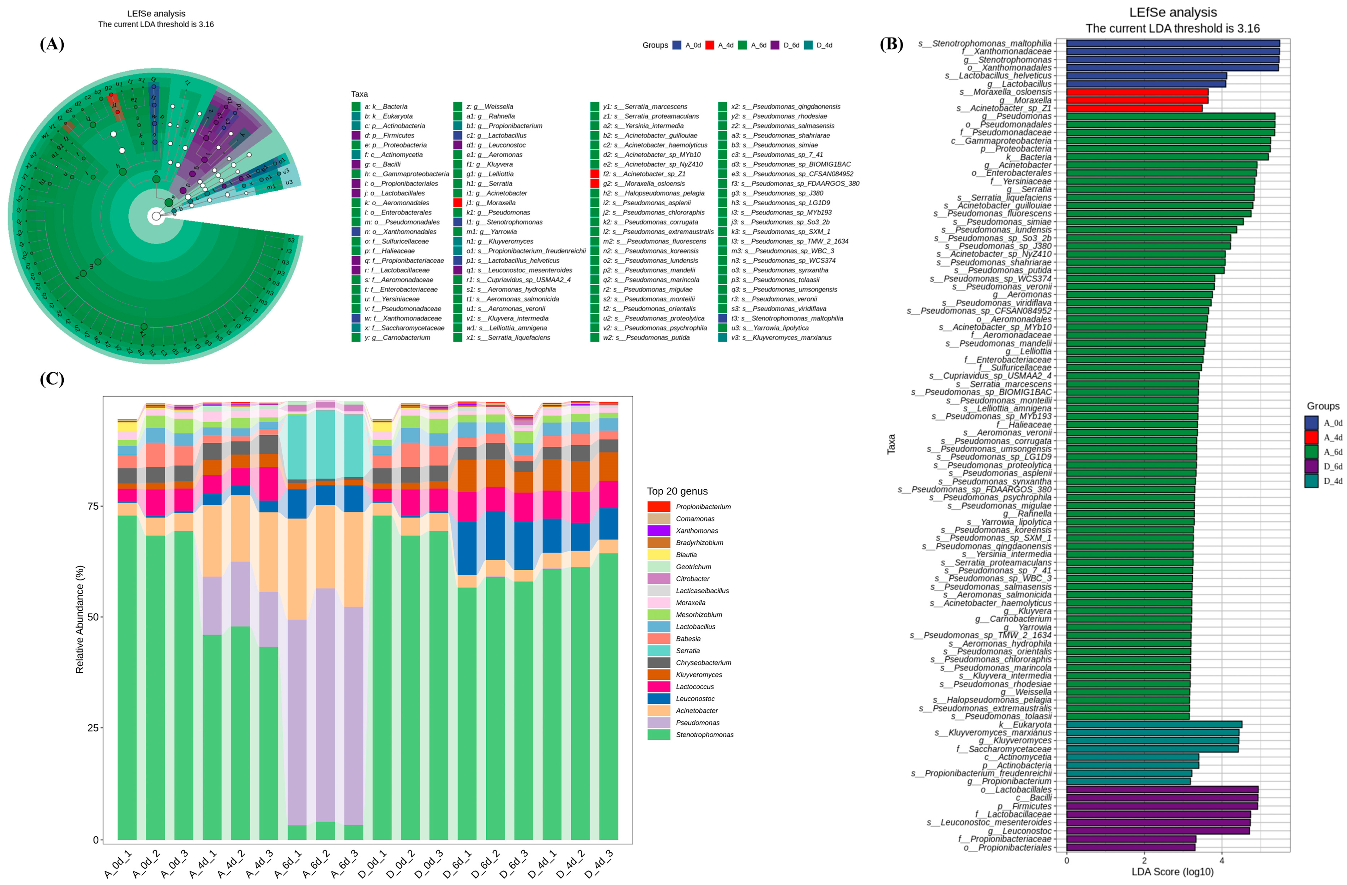 Molecules 29 00329 g003