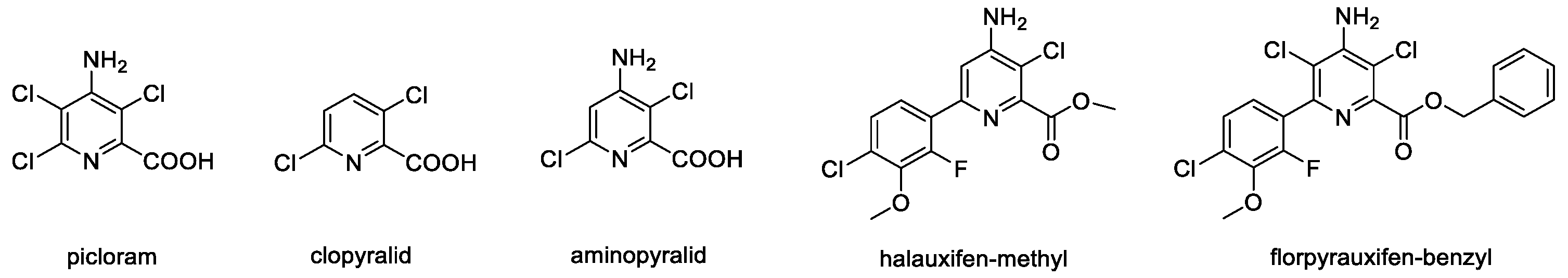 Molecules 29 00332 g001