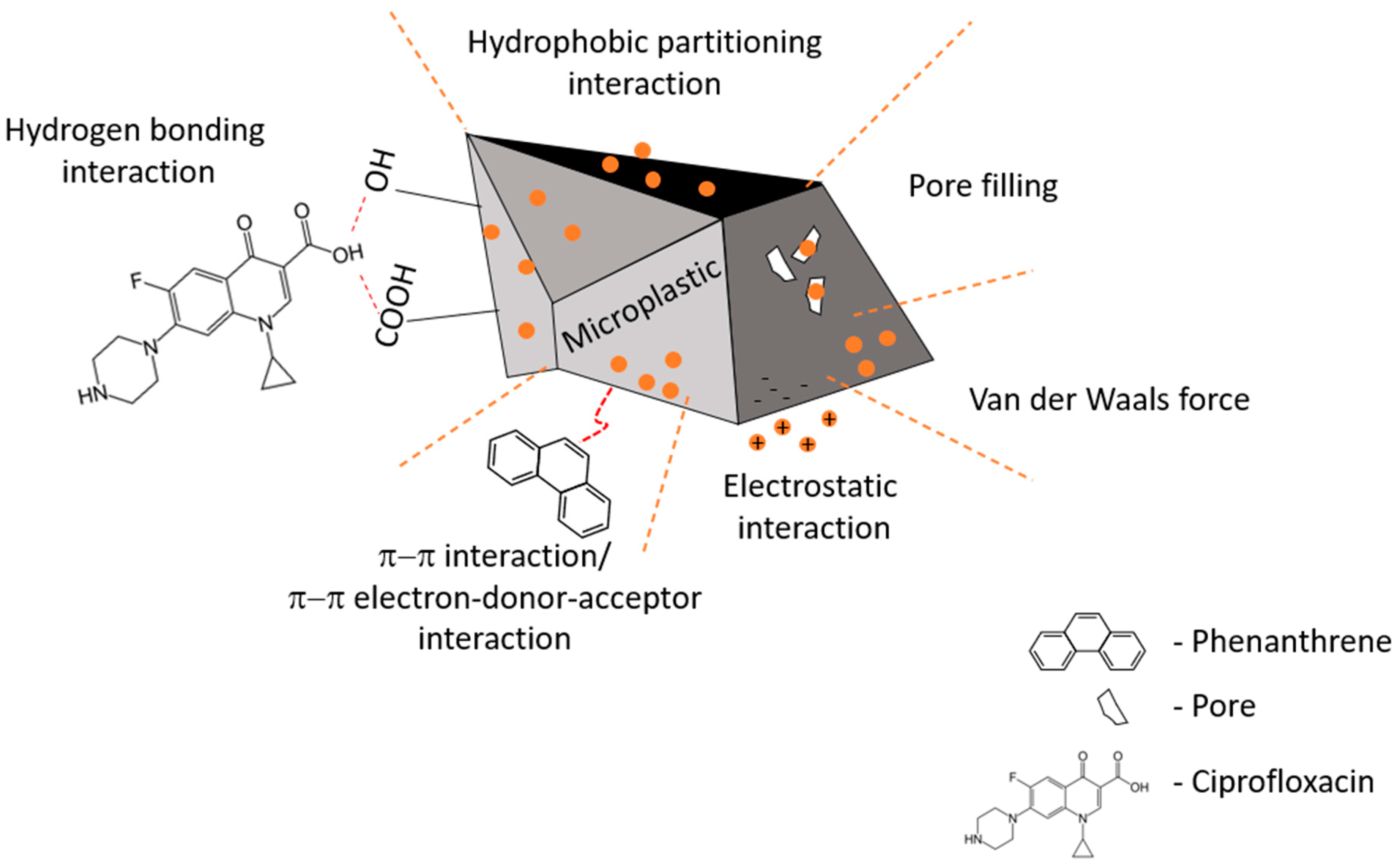 Molecules 29 00333 g002