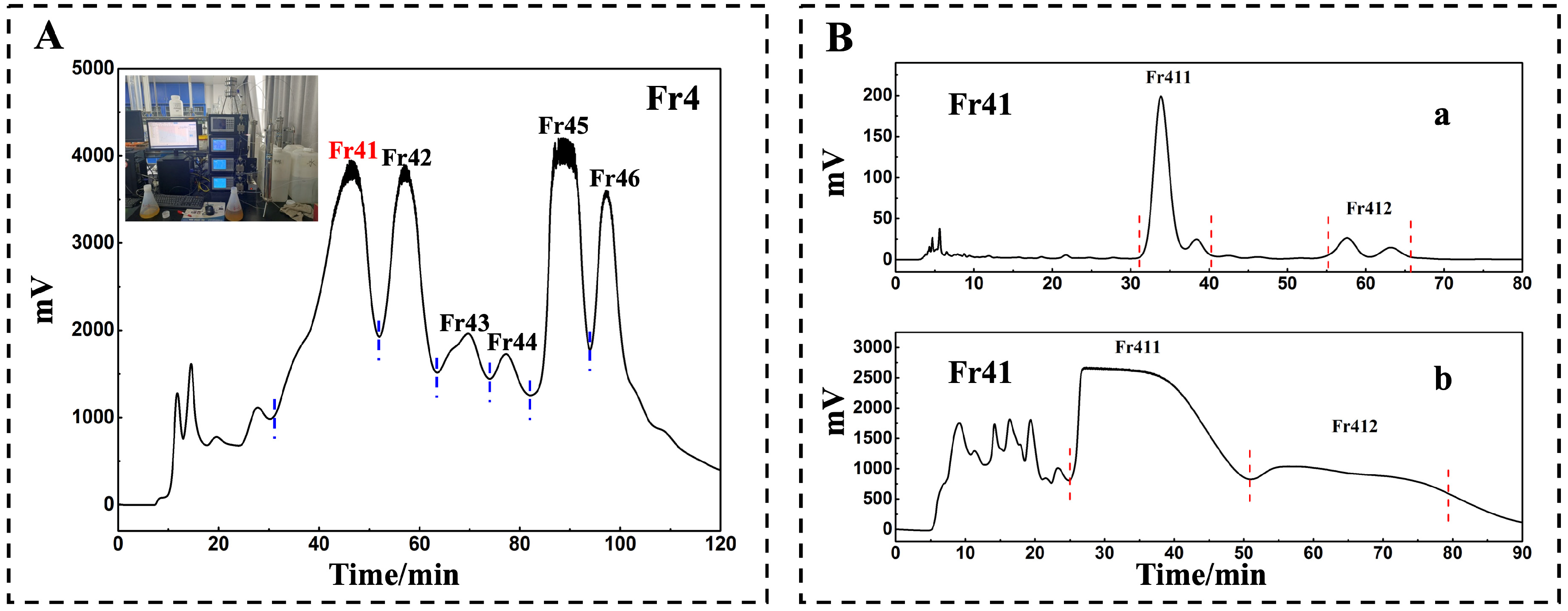 Molecules 29 00339 g001