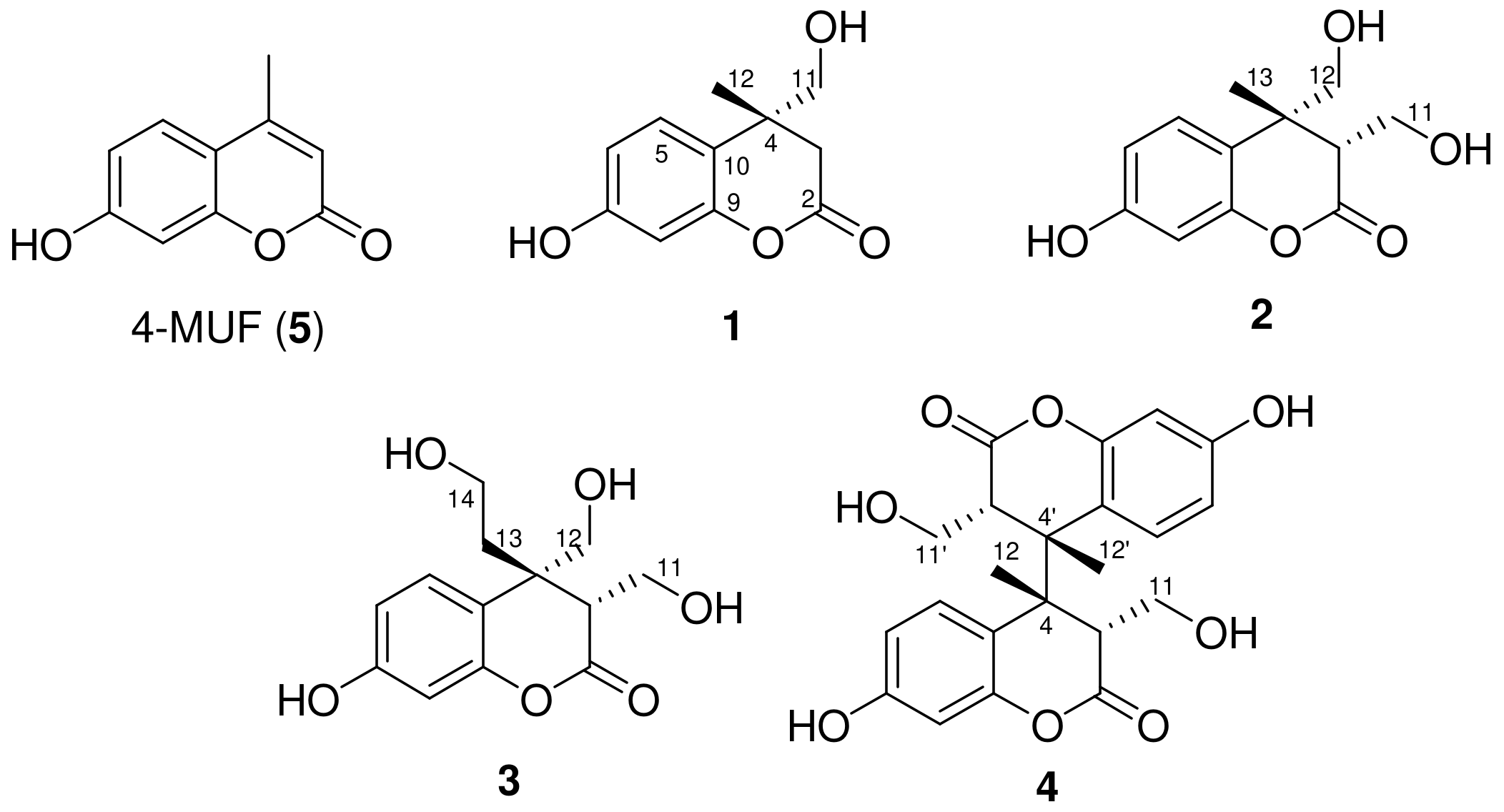 Molecules 29 00341 g001 Molecules 29 00341 g001