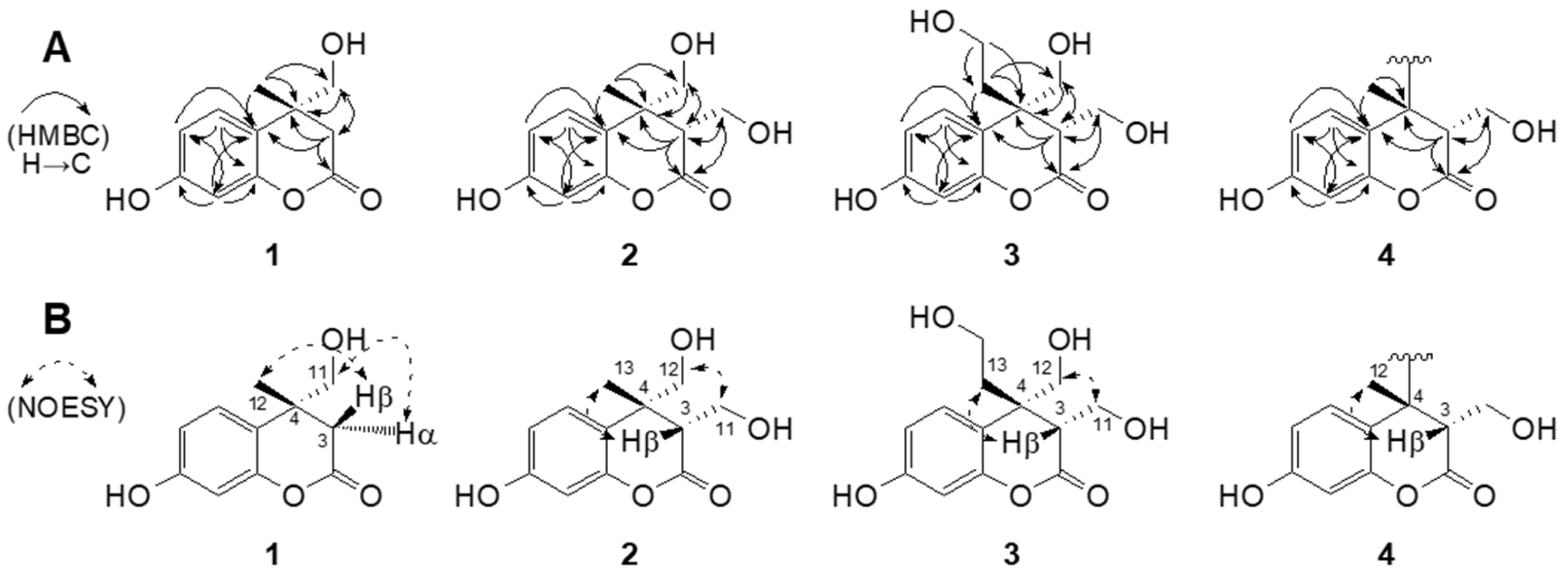 Molecules 29 00341 g002 Molecules 29 00341 g002