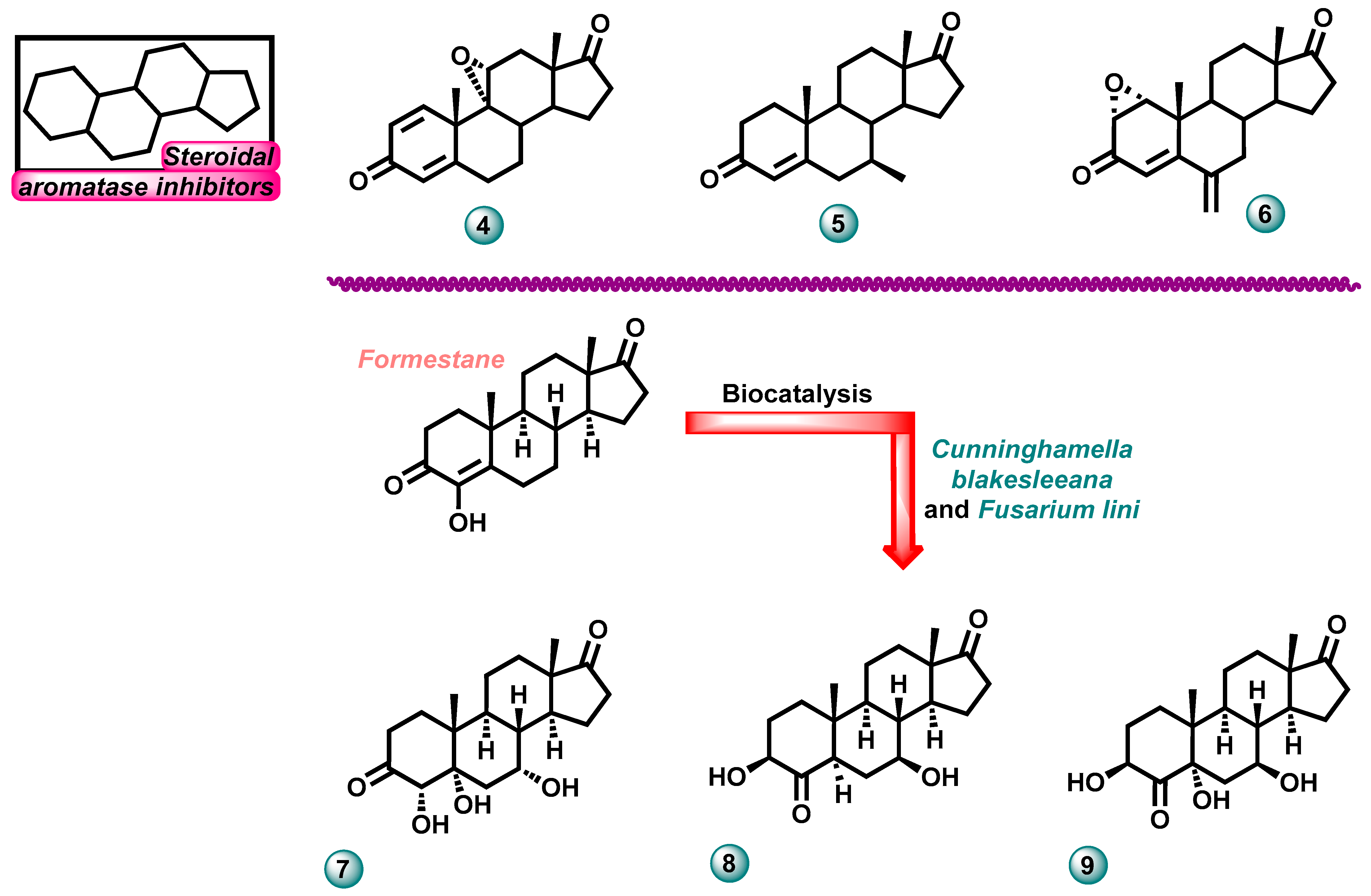 Molecules 29 00346 g004