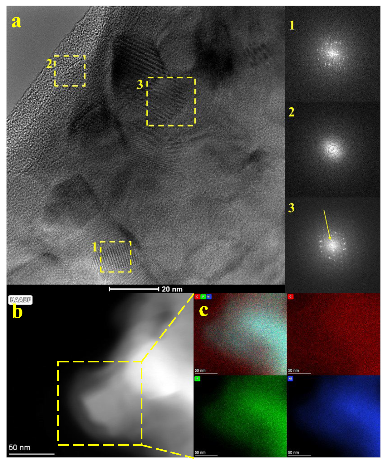 Molecules 29 00352 g003