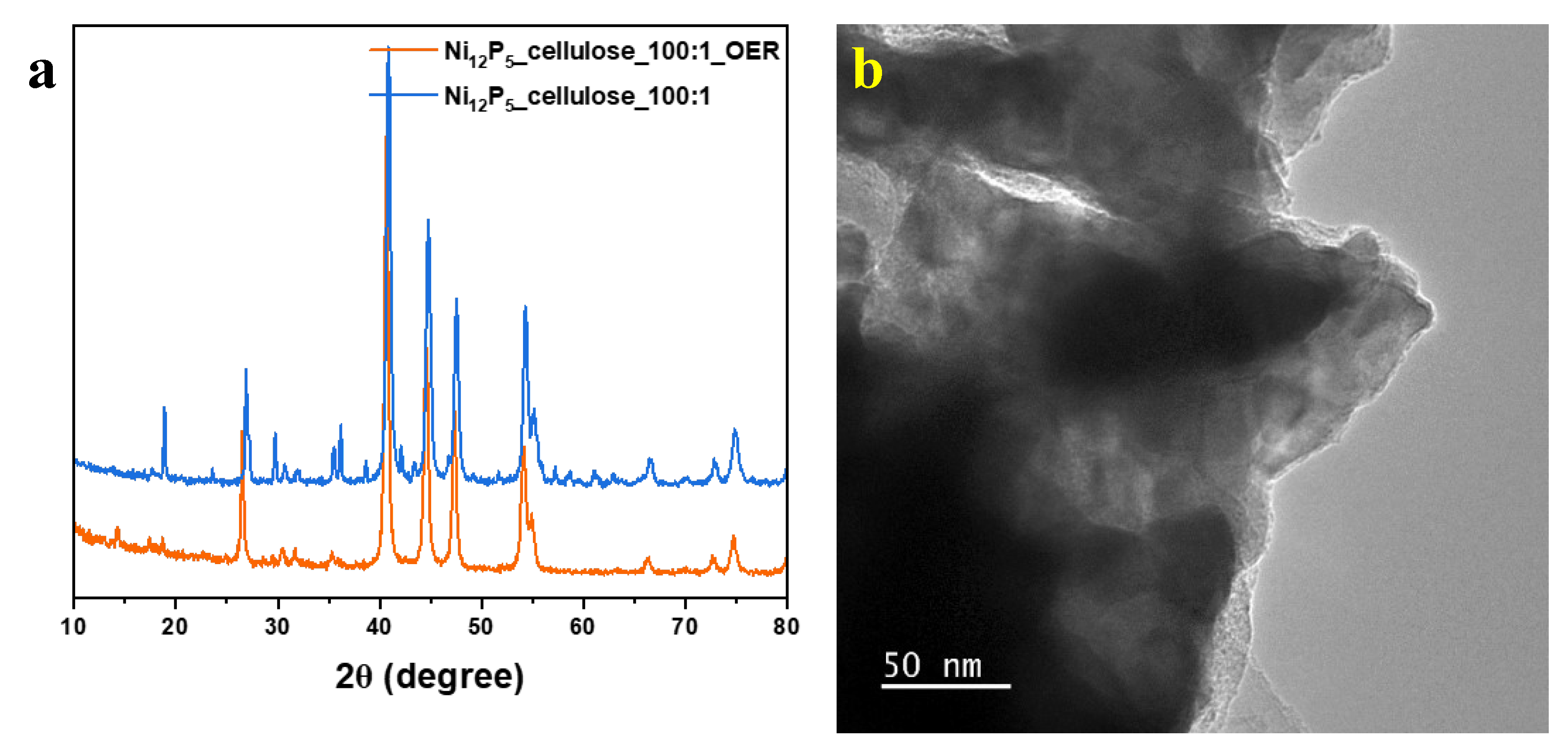 Molecules 29 00352 g008