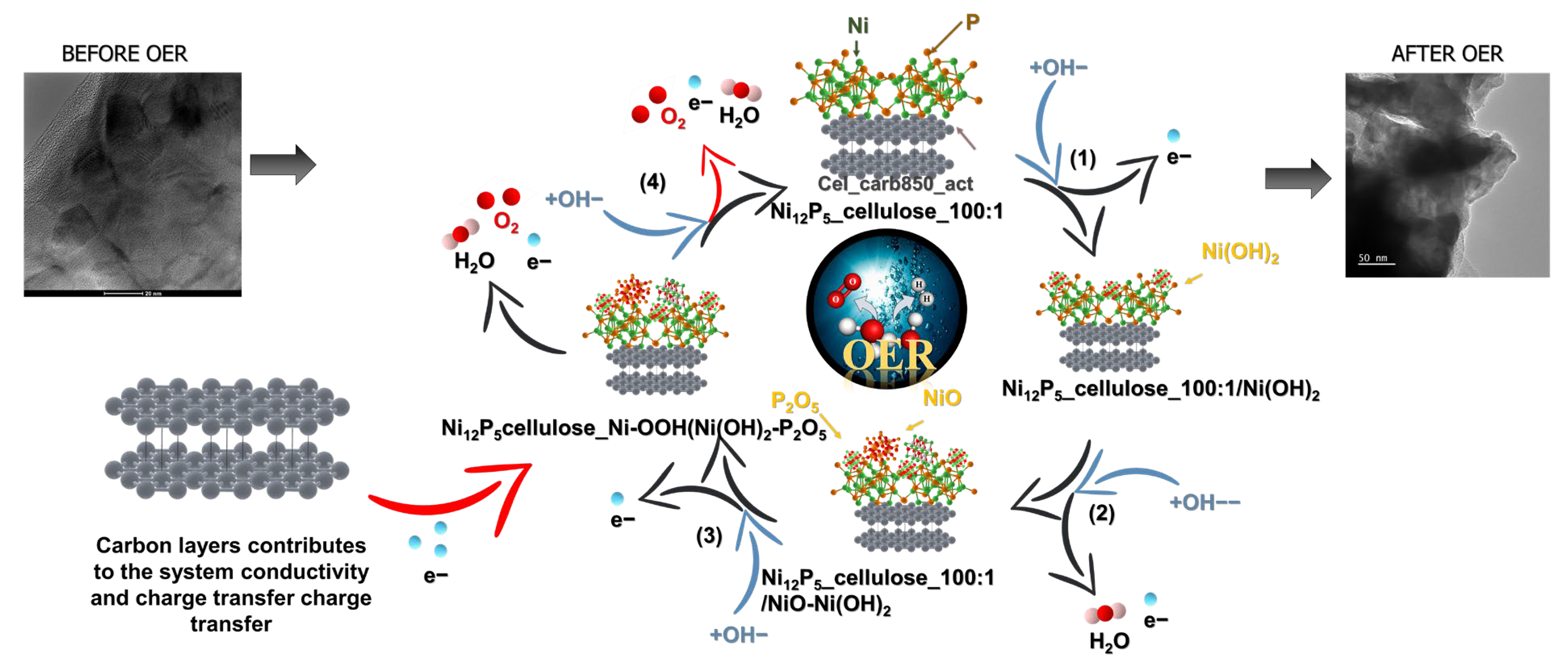 Molecules 29 00352 g009