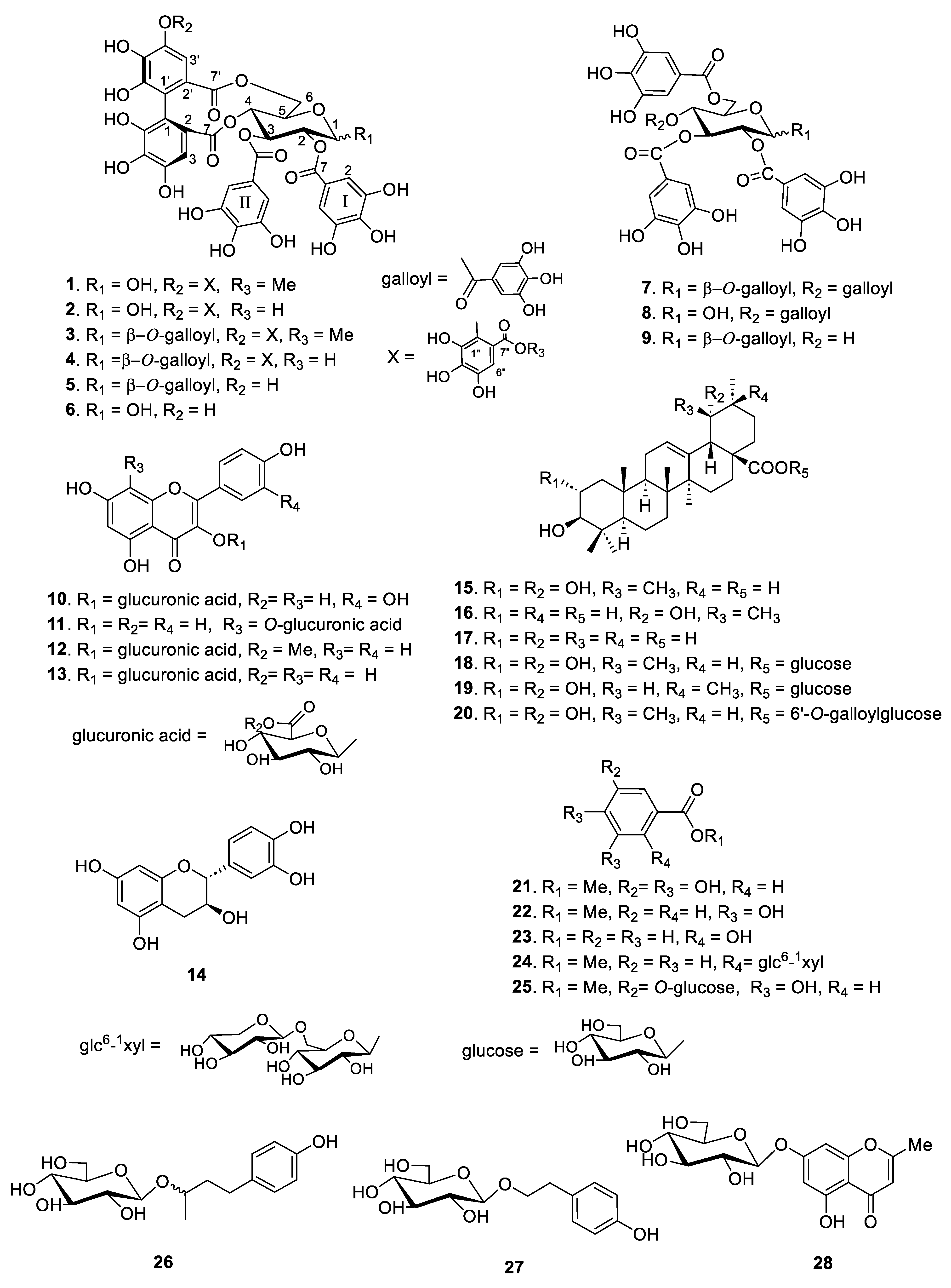 Molecules 29 00354 g001