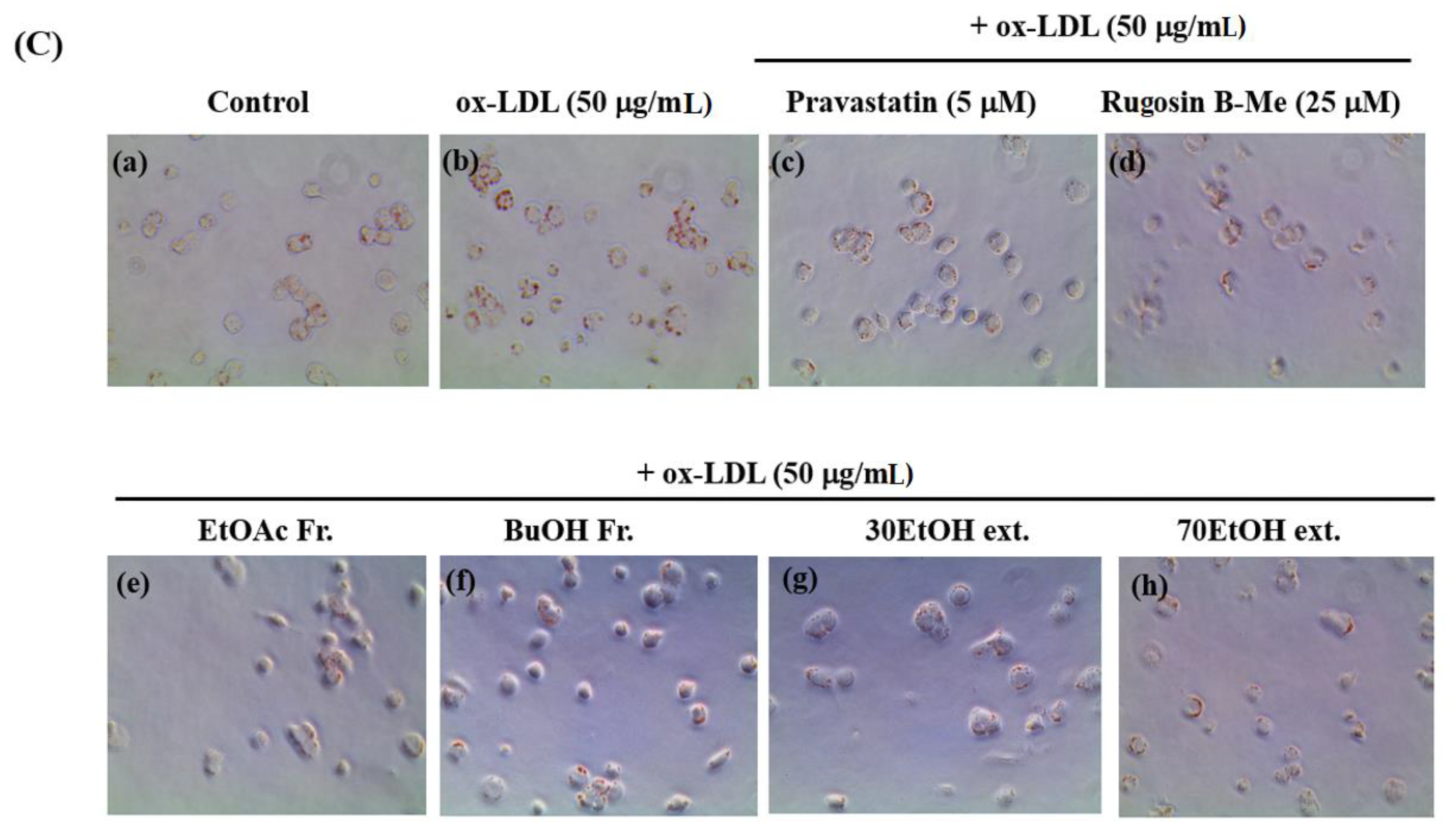 Molecules 29 00354 g003b