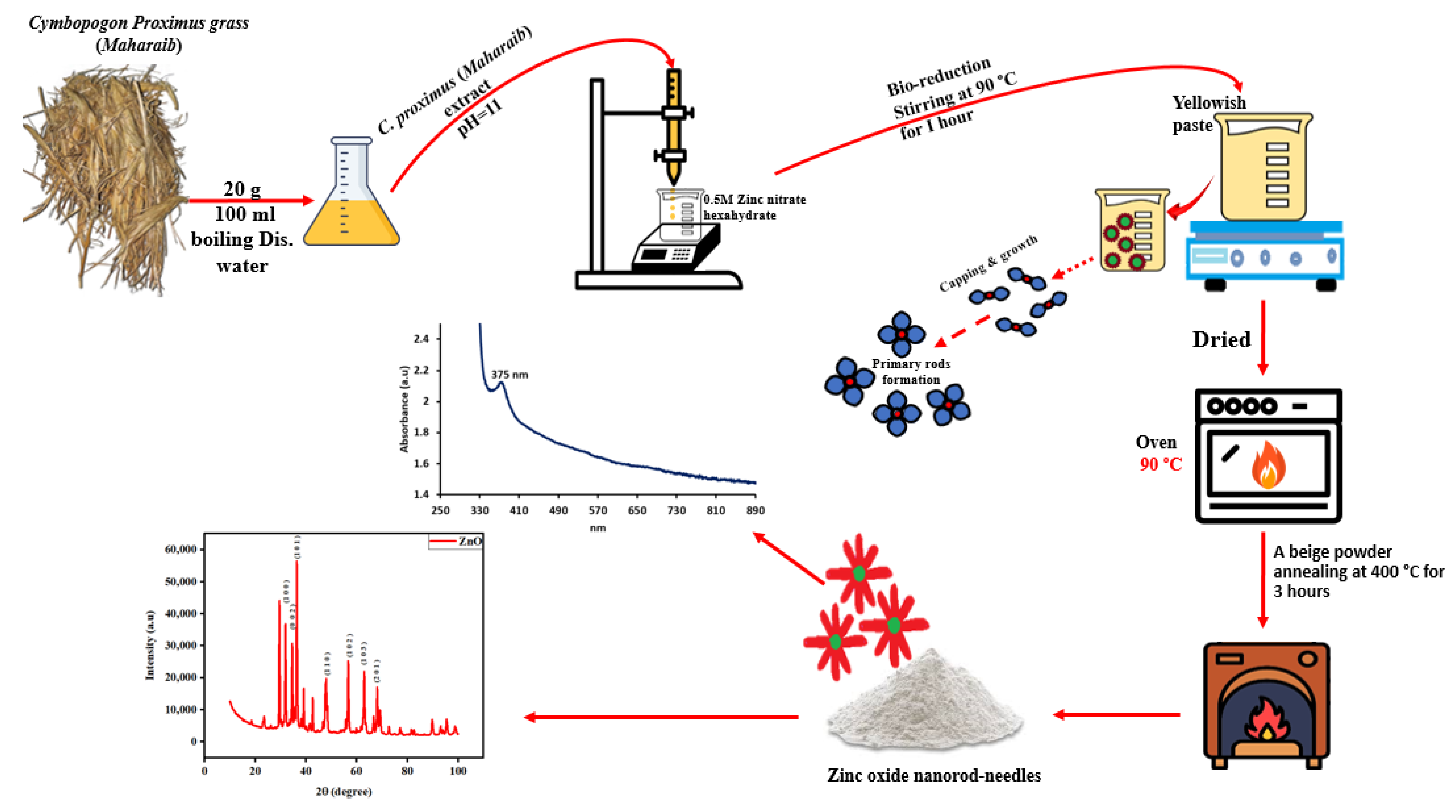 Molecules 29 00355 g001
