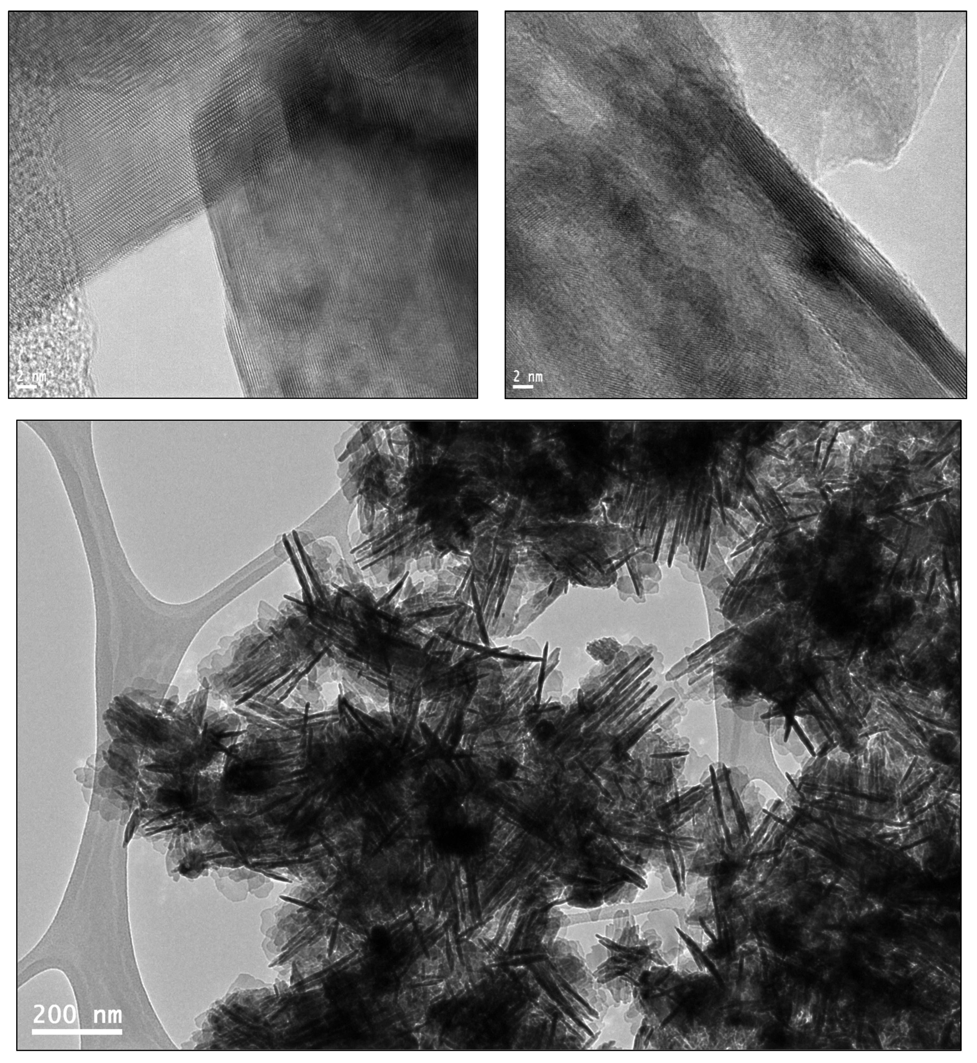 Molecules 29 00355 g007