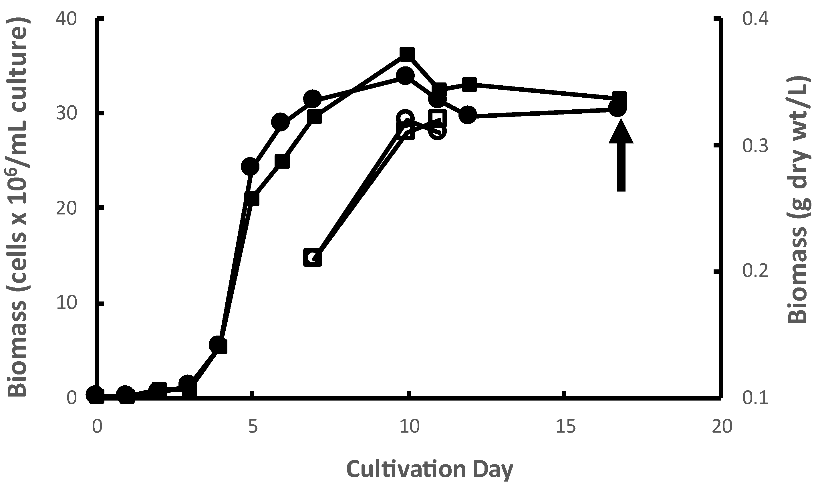 Molecules 29 00359 g001 Molecules 29 00359 g001