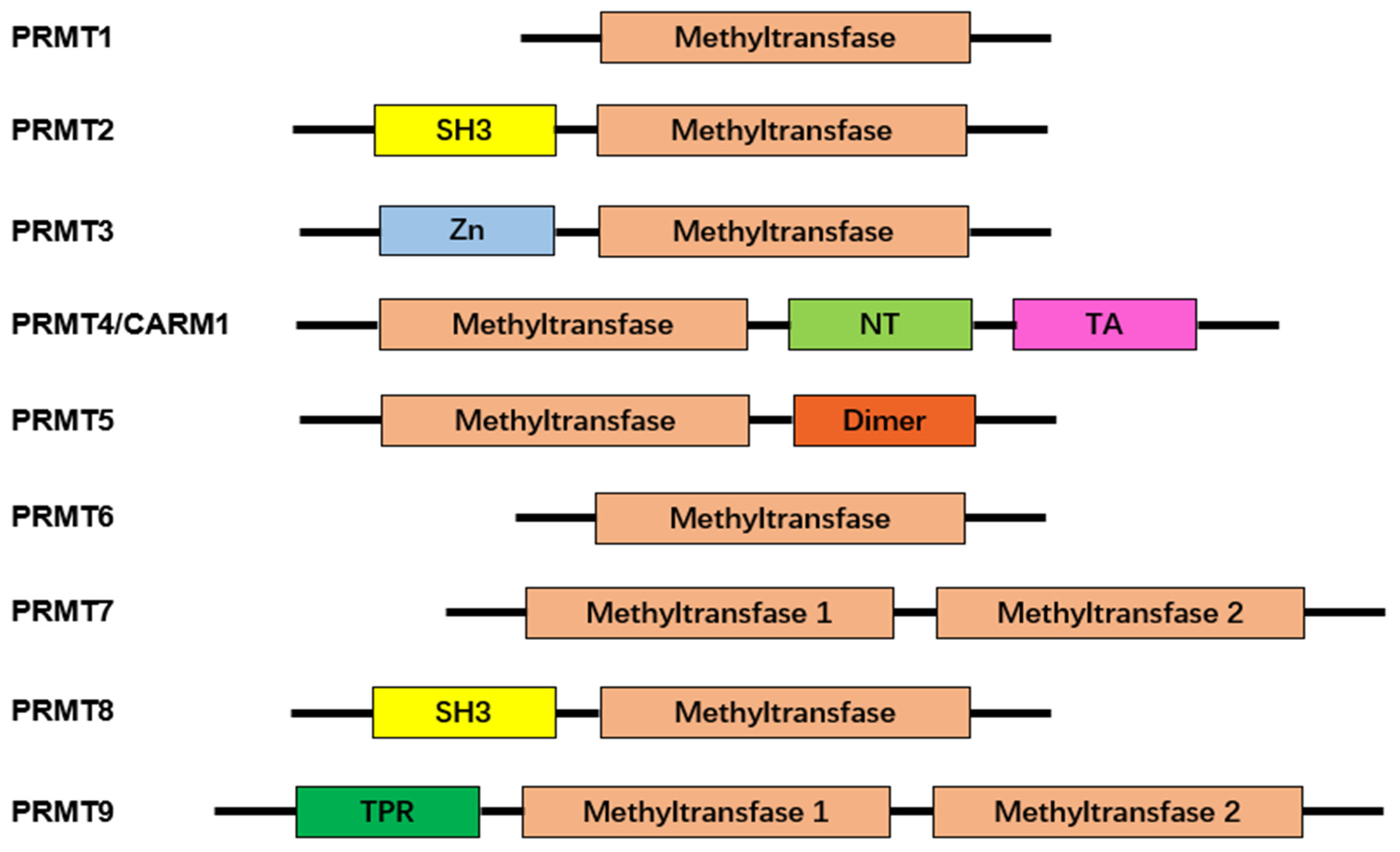 Molecules 29 00360 g002