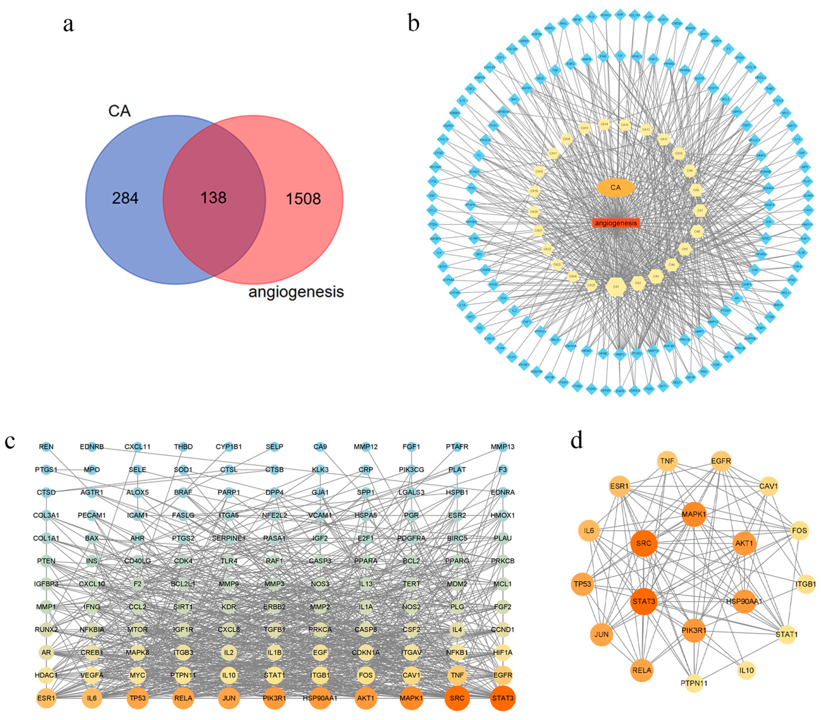 Molecules 29 00362 g001