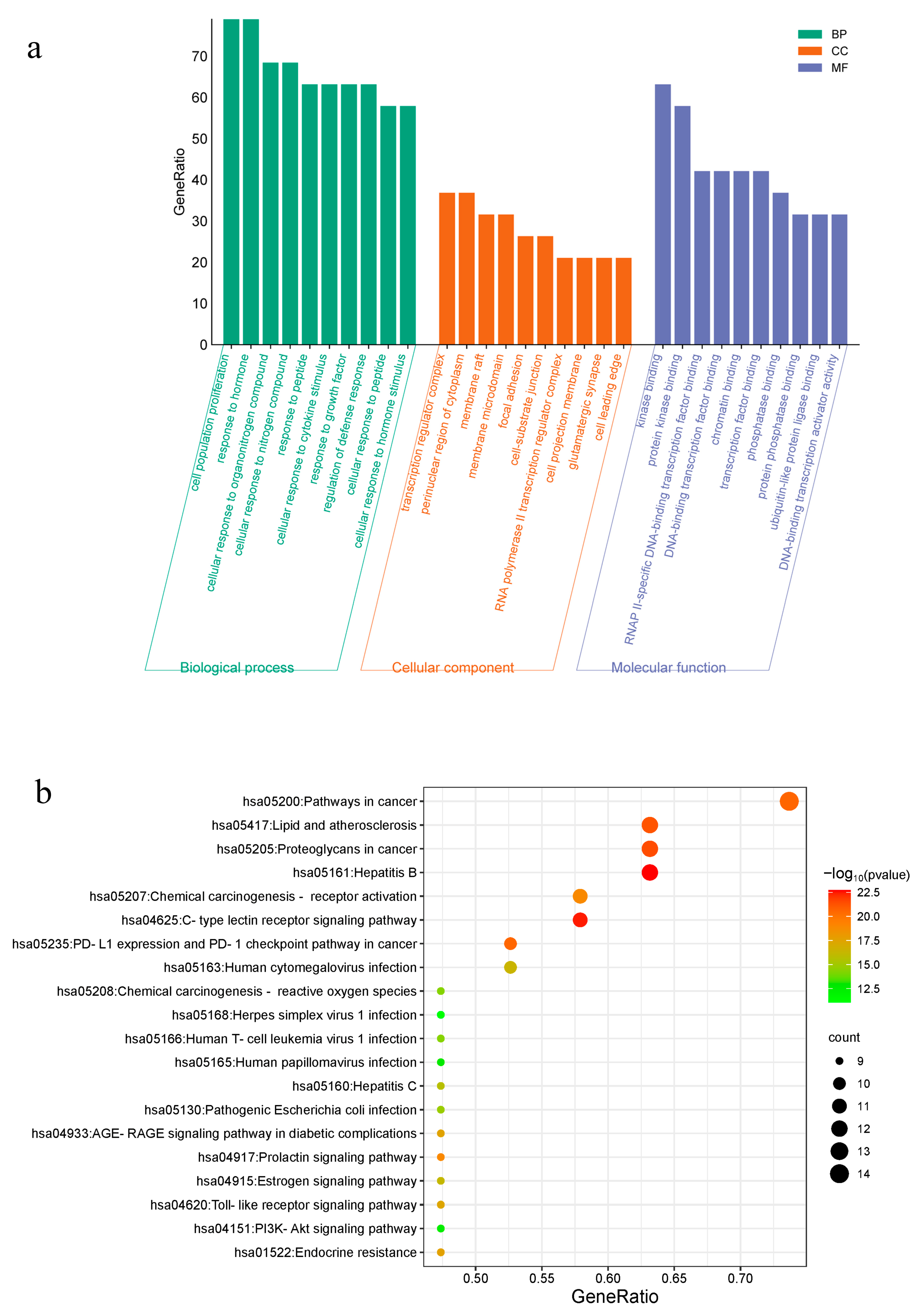 Molecules 29 00362 g002
