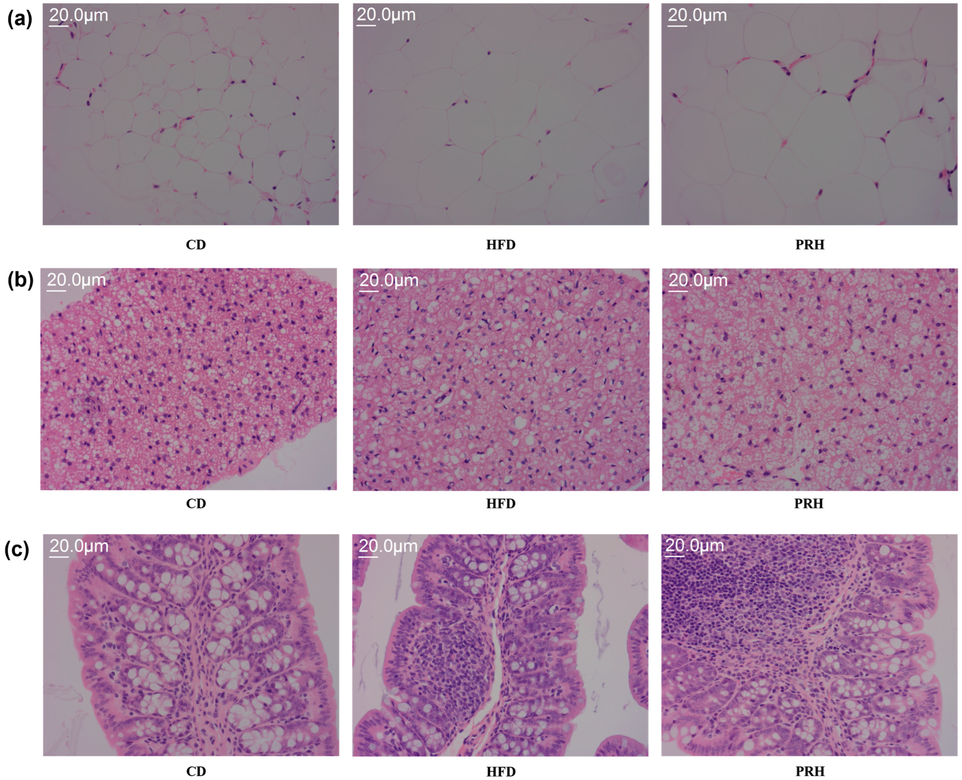 Molecules 29 00370 g004