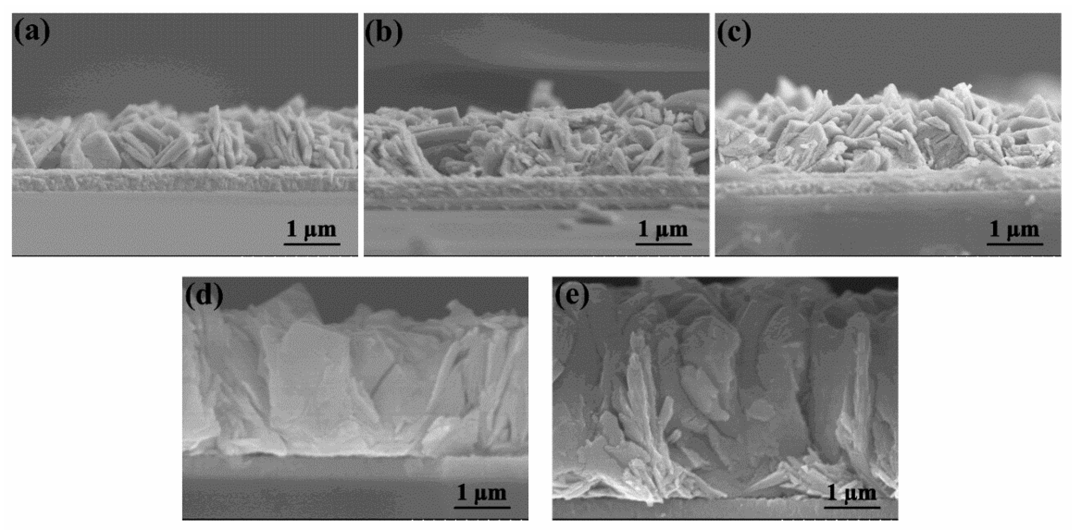 Molecules 29 00372 g002